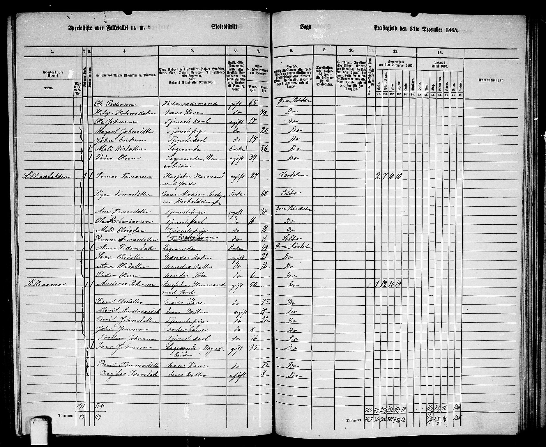 RA, 1865 census for Øvre Stjørdal, 1865, p. 165