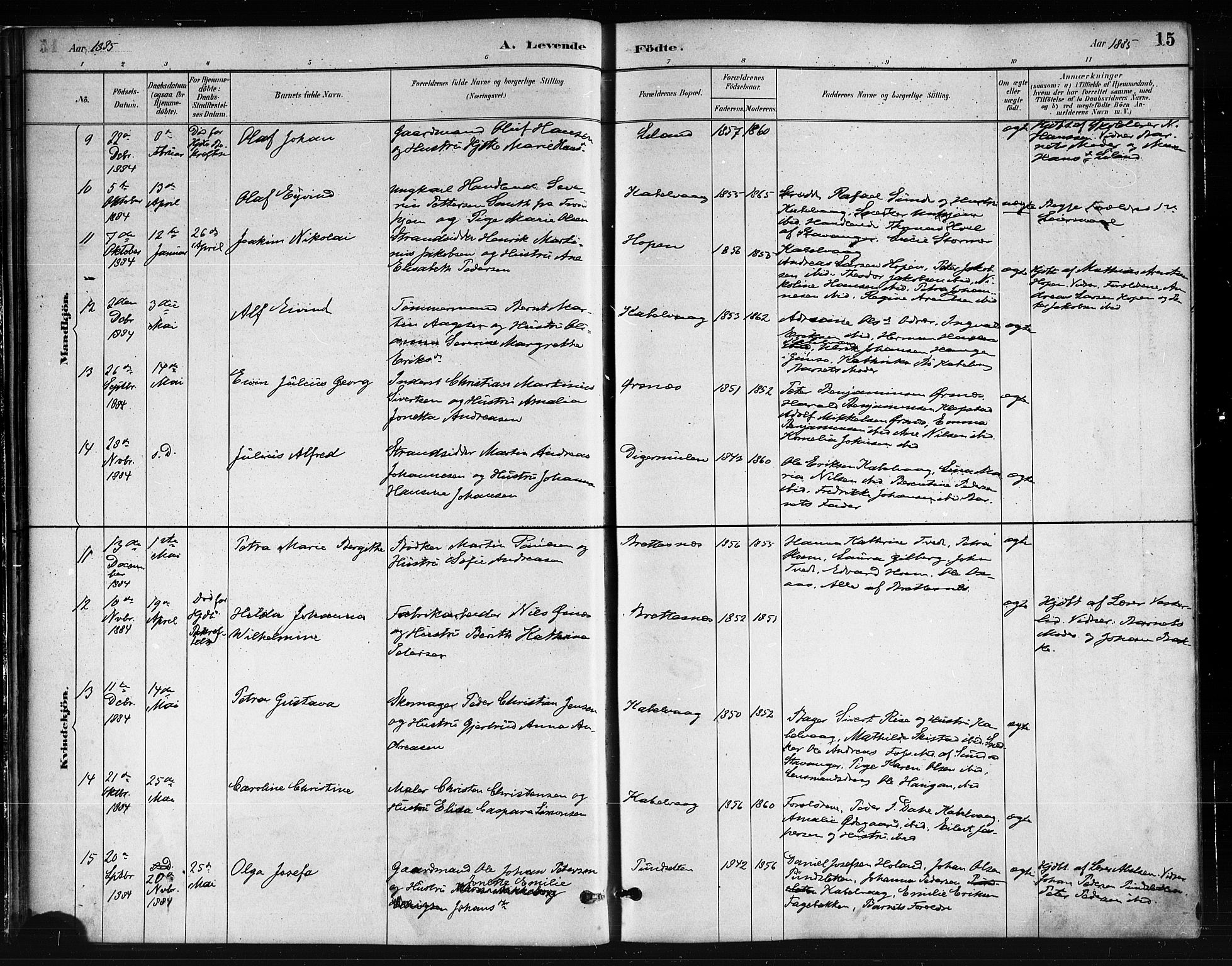 Ministerialprotokoller, klokkerbøker og fødselsregistre - Nordland, SAT/A-1459/874/L1059: Parish register (official) no. 874A03, 1884-1890, p. 15