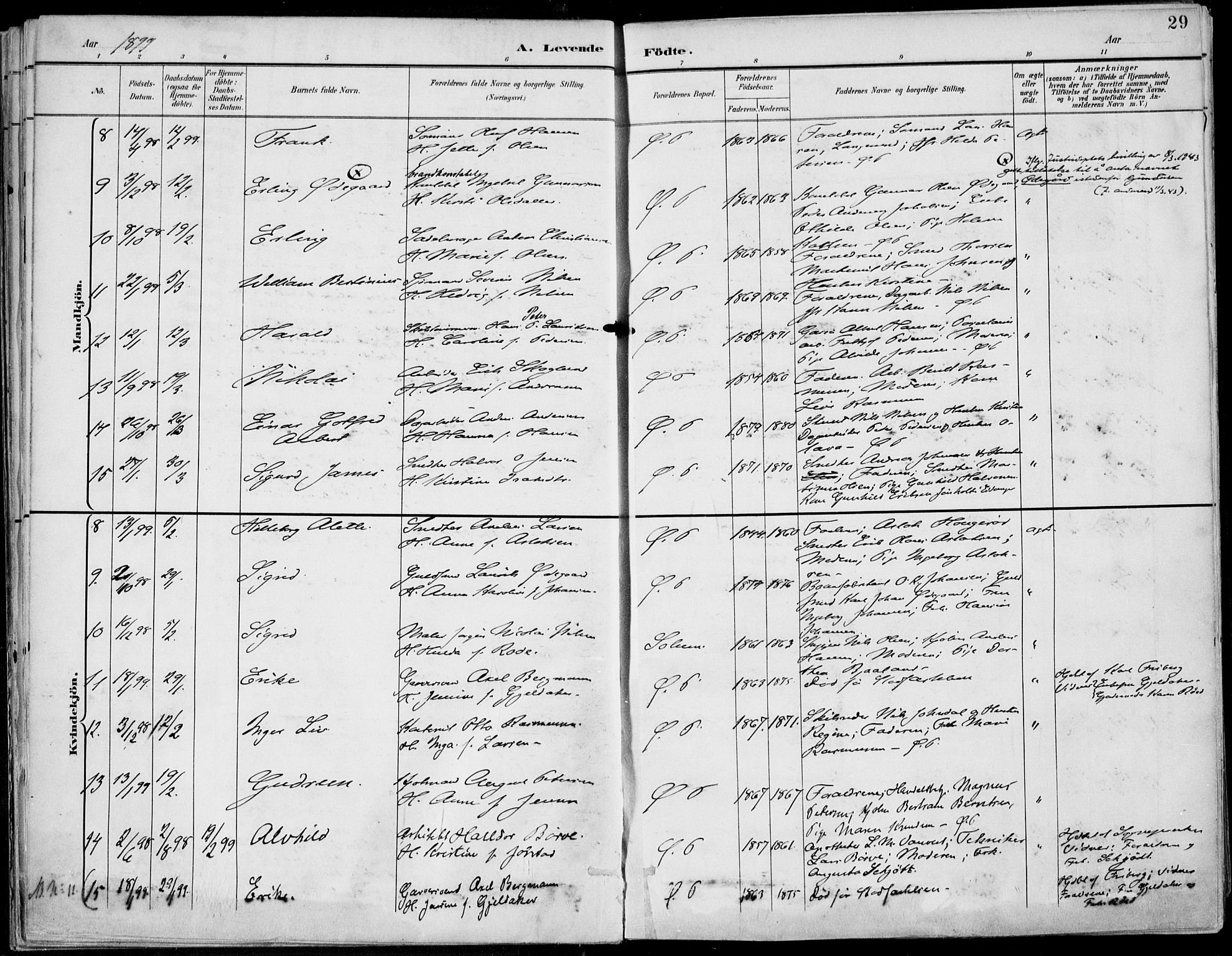 Porsgrunn kirkebøker , AV/SAKO-A-104/F/Fa/L0010: Parish register (official) no. 10, 1895-1919, p. 29