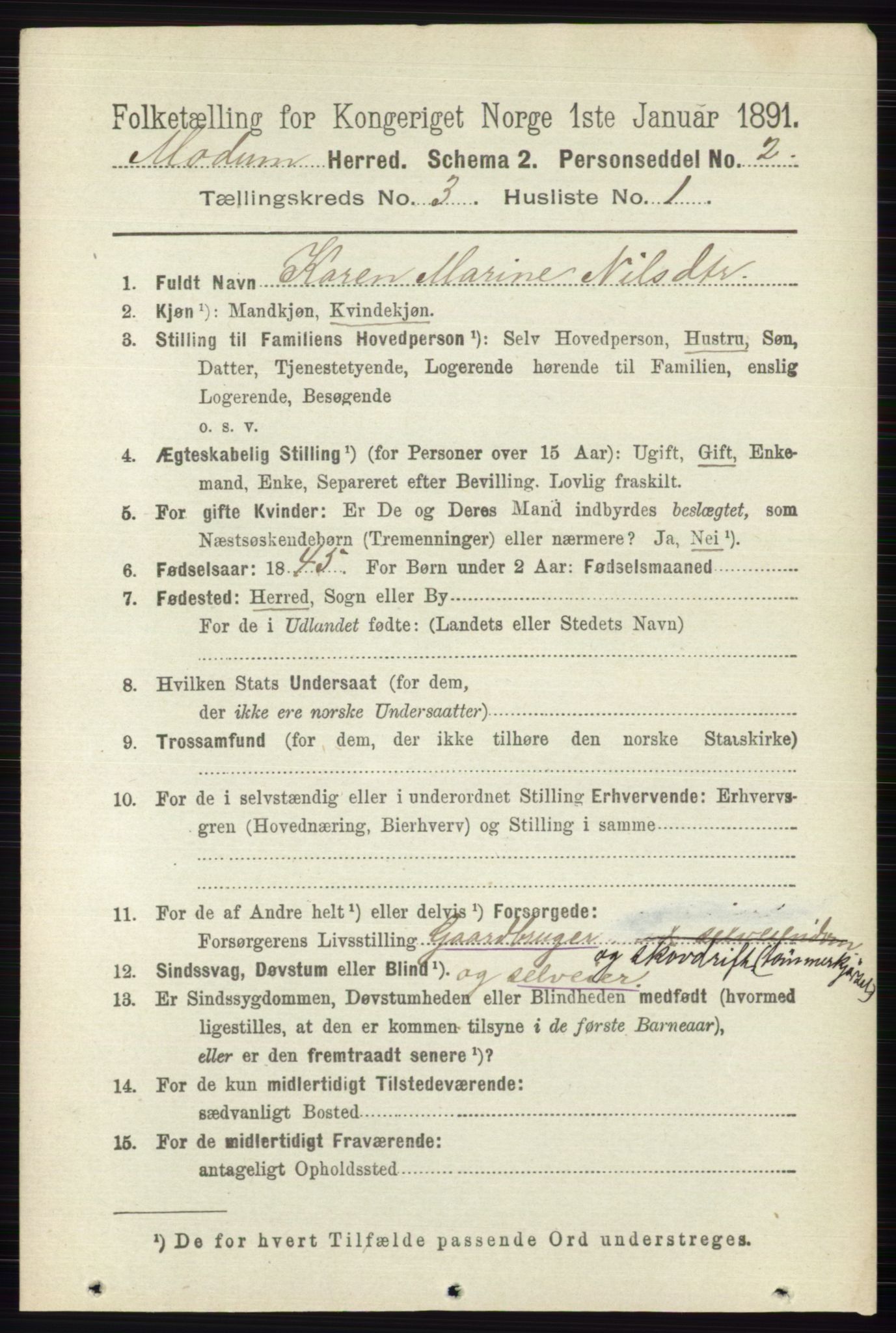 RA, 1891 census for 0623 Modum, 1891, p. 721