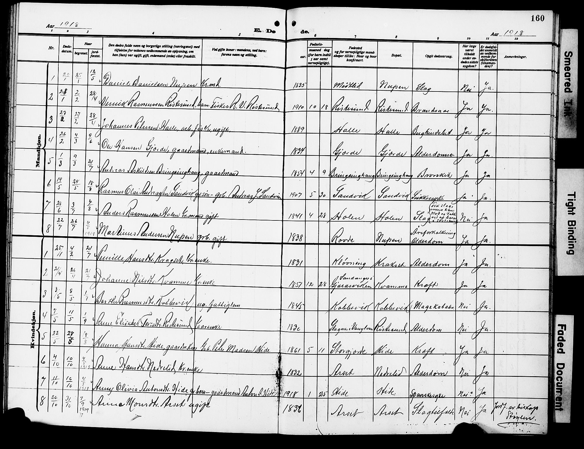 Ministerialprotokoller, klokkerbøker og fødselsregistre - Møre og Romsdal, AV/SAT-A-1454/503/L0050: Parish register (copy) no. 503C05, 1909-1922, p. 160