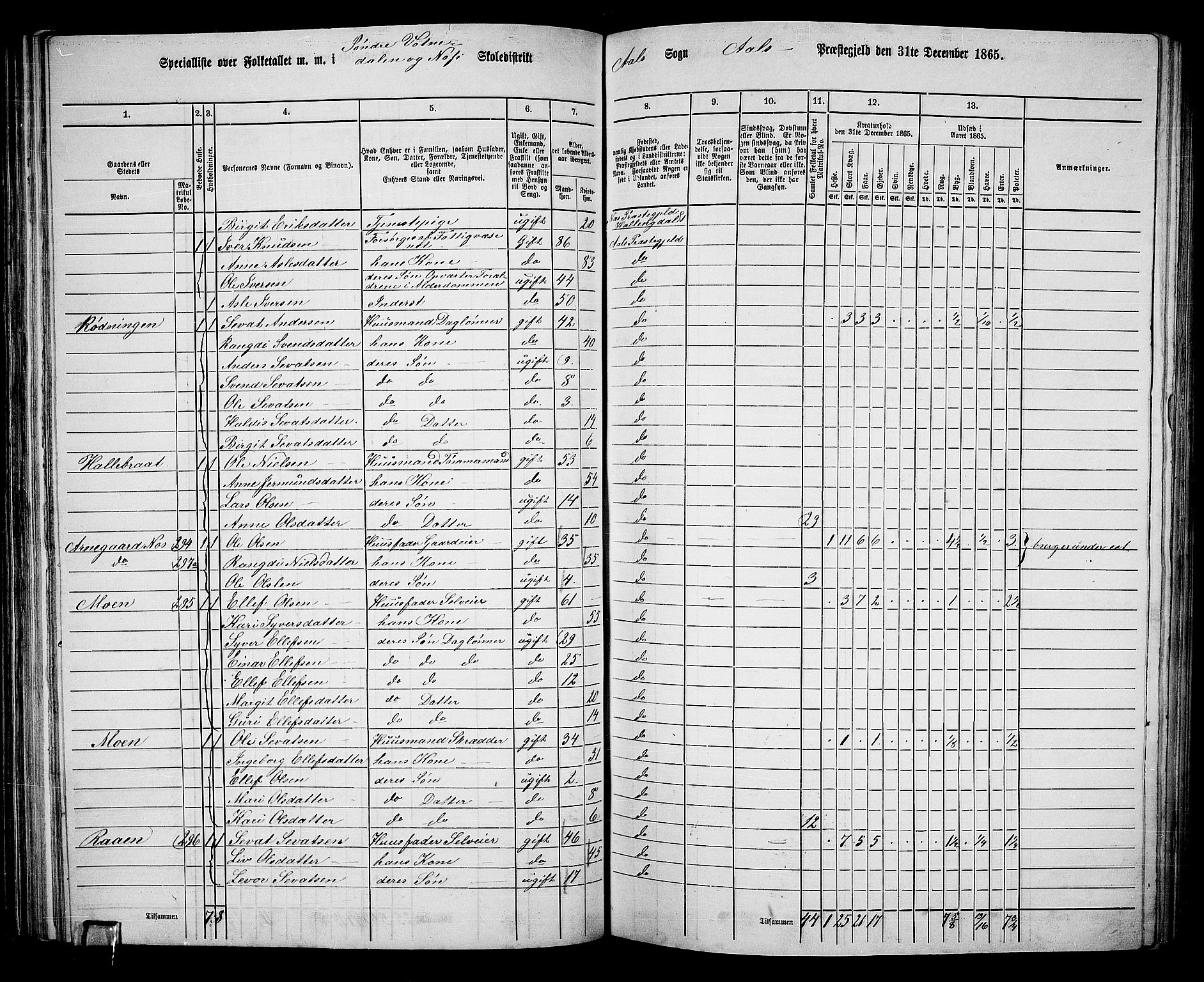 RA, 1865 census for Ål, 1865, p. 84