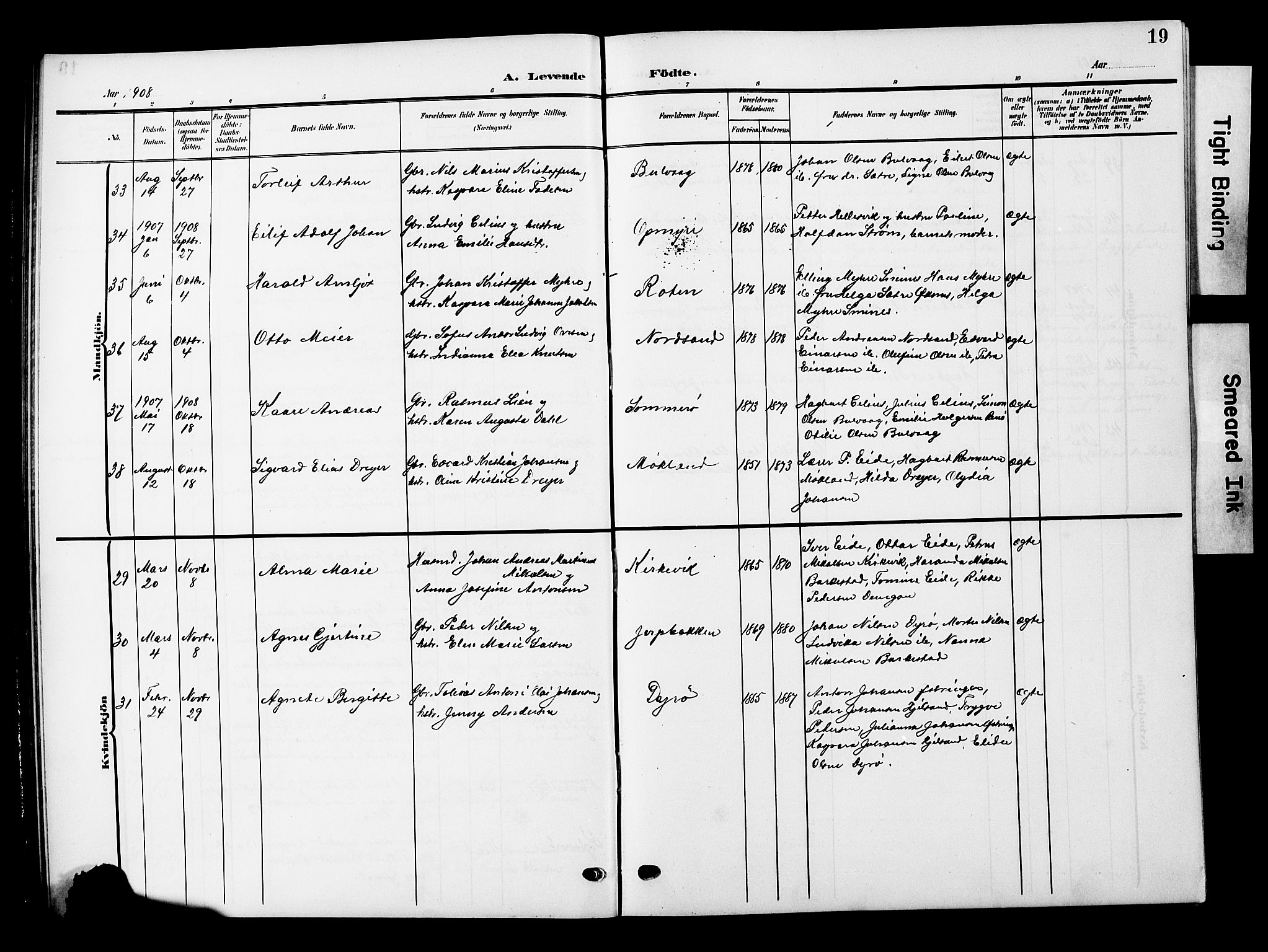 Ministerialprotokoller, klokkerbøker og fødselsregistre - Nordland, AV/SAT-A-1459/893/L1350: Parish register (copy) no. 893C05, 1906-1927, p. 19