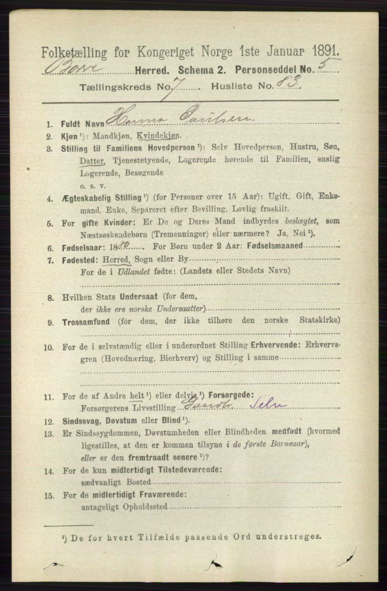 RA, 1891 census for 0717 Borre, 1891, p. 3667