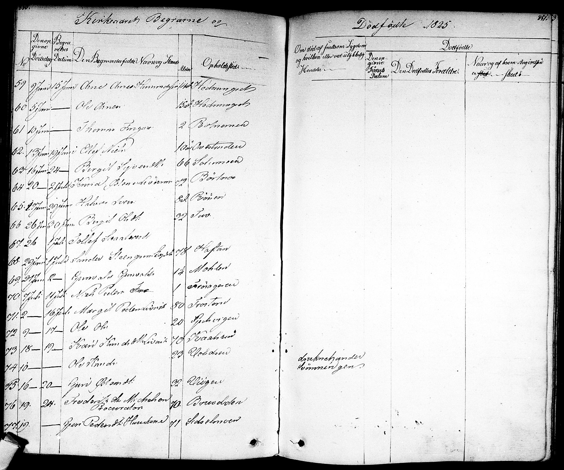 Nes kirkebøker, AV/SAKO-A-236/F/Fa/L0008: Parish register (official) no. 8, 1824-1834, p. 850-851