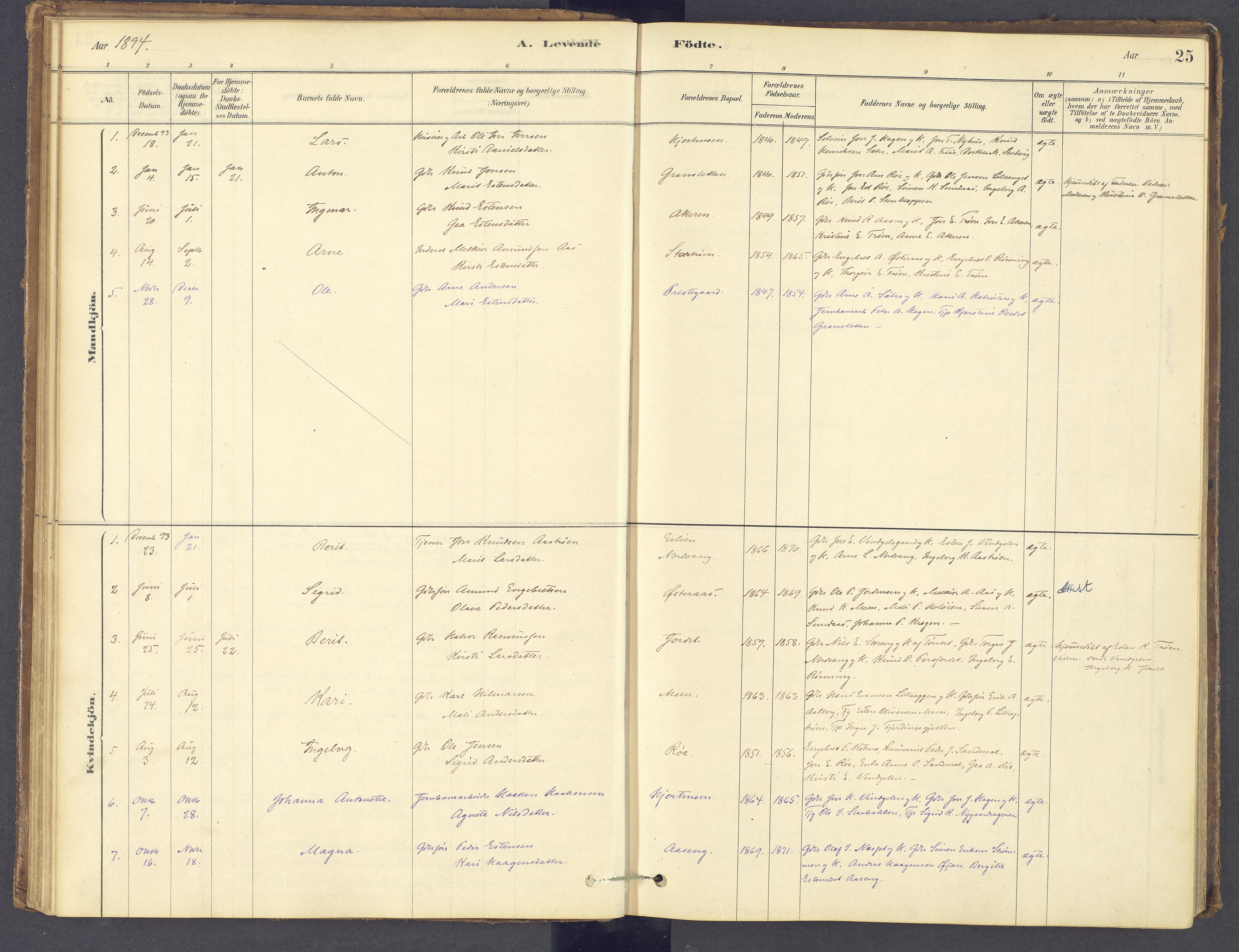 Tolga prestekontor, SAH/PREST-062/K/L0012: Parish register (official) no. 12, 1877-1925, p. 25
