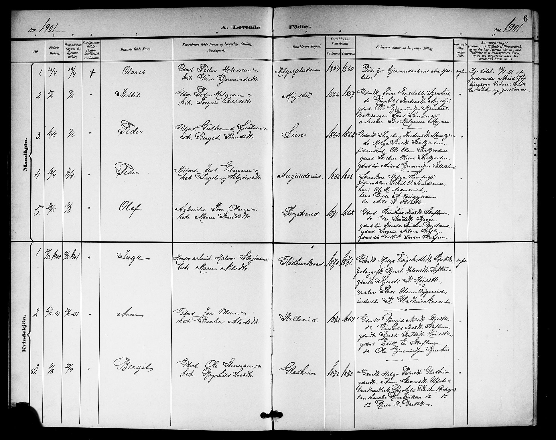 Rollag kirkebøker, SAKO/A-240/G/Gb/L0003: Parish register (copy) no. II 3, 1897-1919, p. 6