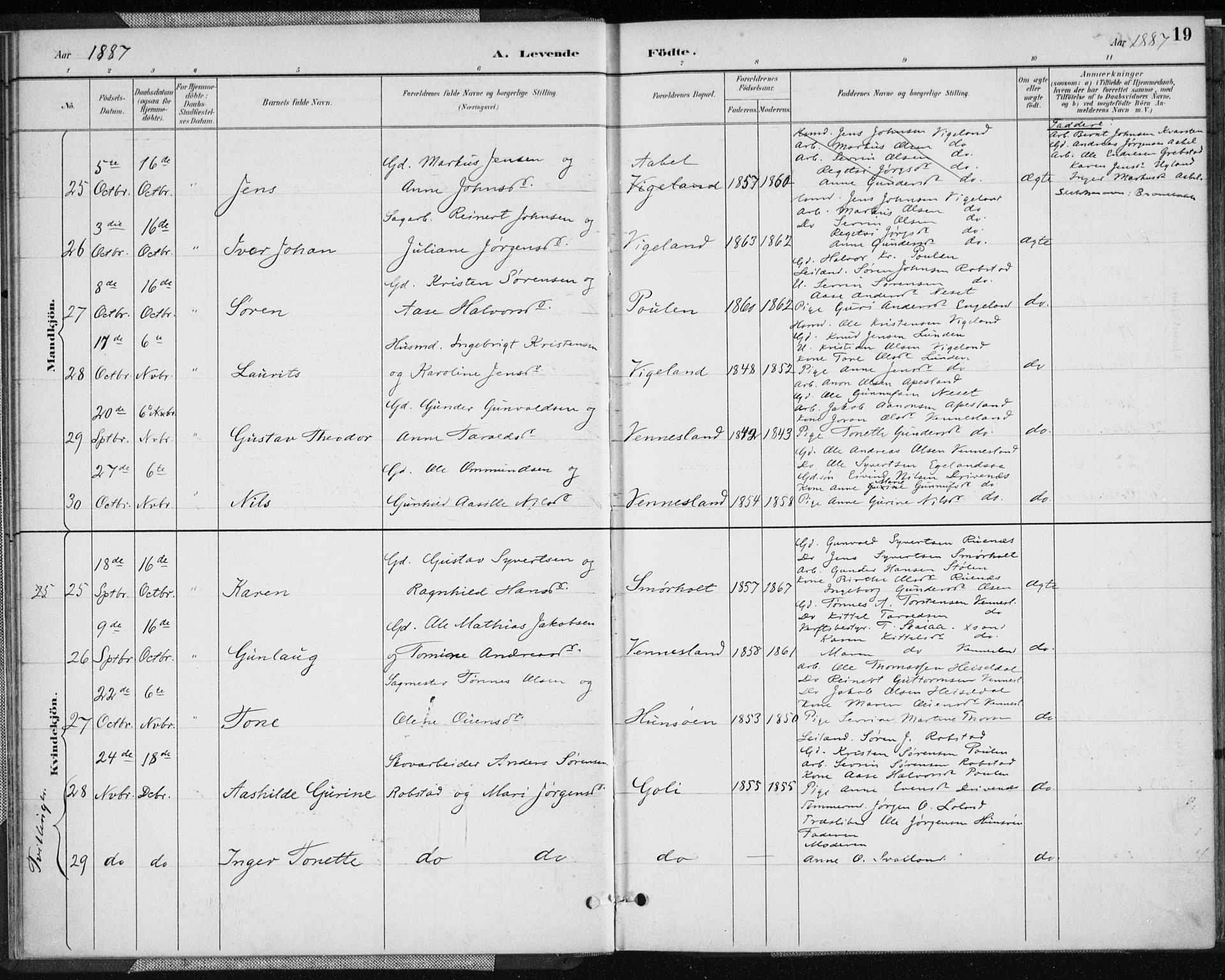 Vennesla sokneprestkontor, AV/SAK-1111-0045/Fa/Fab/L0004: Parish register (official) no. A 4, 1884-1896, p. 19