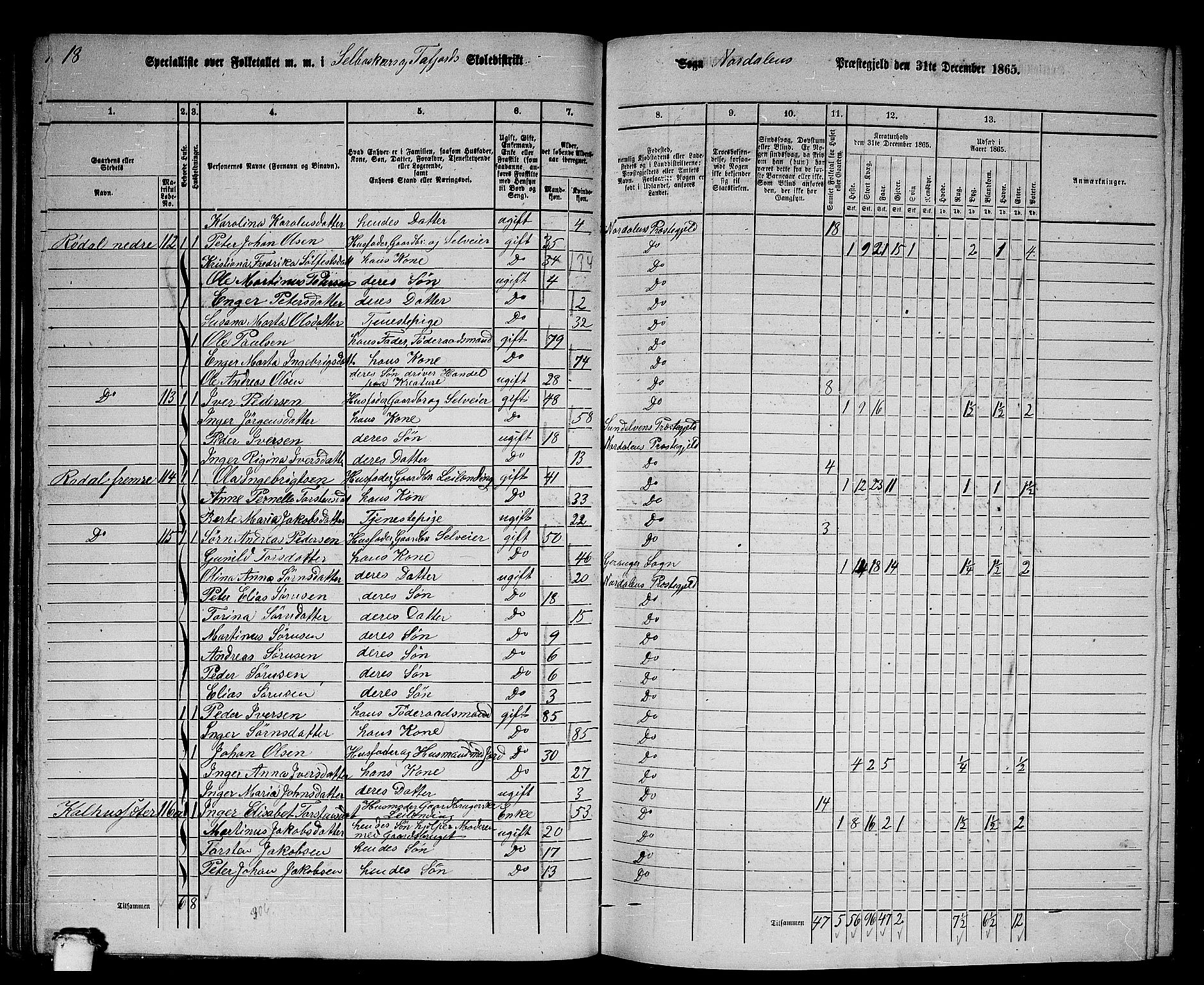 RA, 1865 census for Norddal, 1865, p. 55