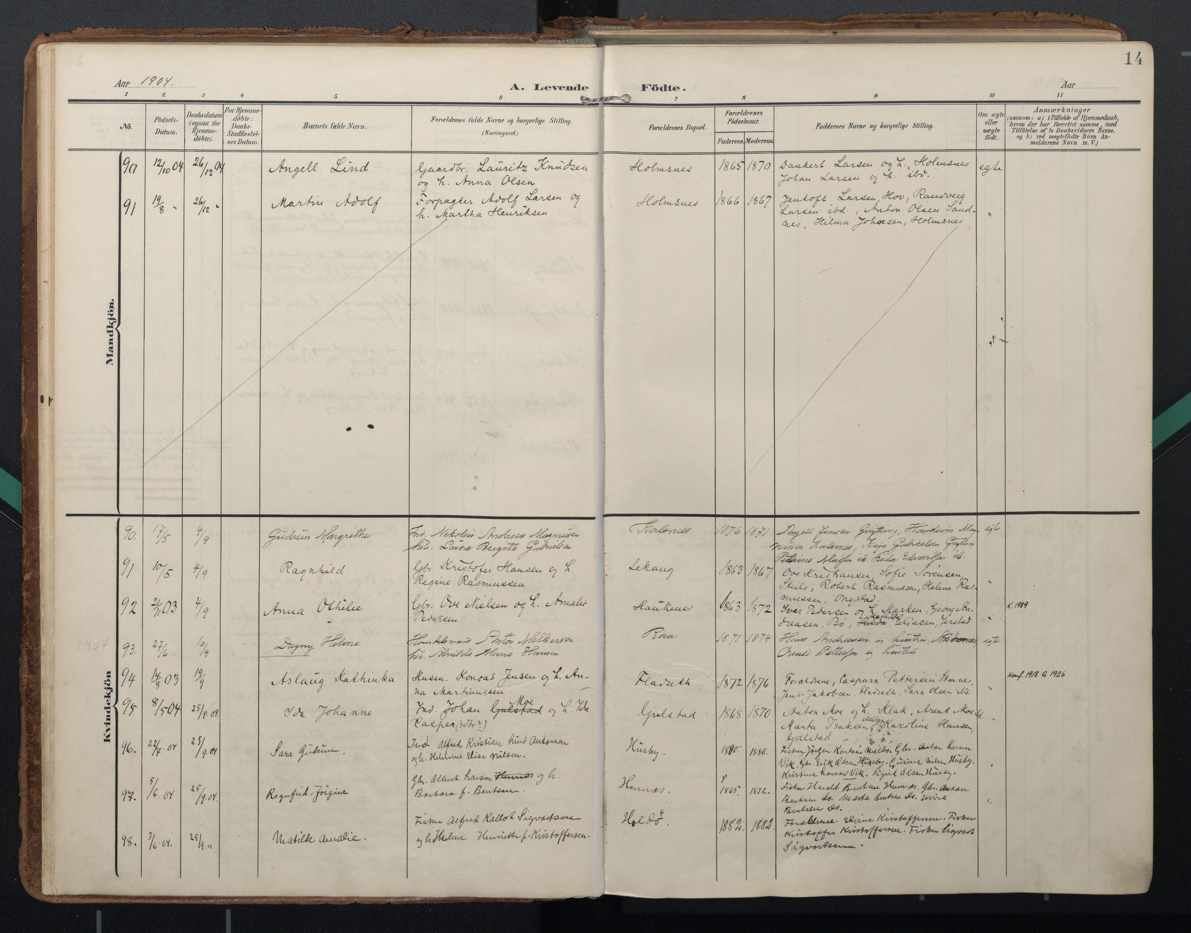 Ministerialprotokoller, klokkerbøker og fødselsregistre - Nordland, SAT/A-1459/888/L1248: Parish register (official) no. 888A14, 1904-1913, p. 14