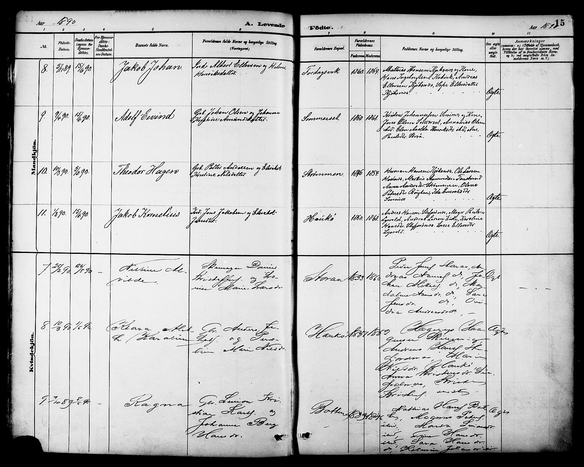 Ministerialprotokoller, klokkerbøker og fødselsregistre - Nordland, AV/SAT-A-1459/861/L0869: Parish register (official) no. 861A04, 1889-1903, p. 15