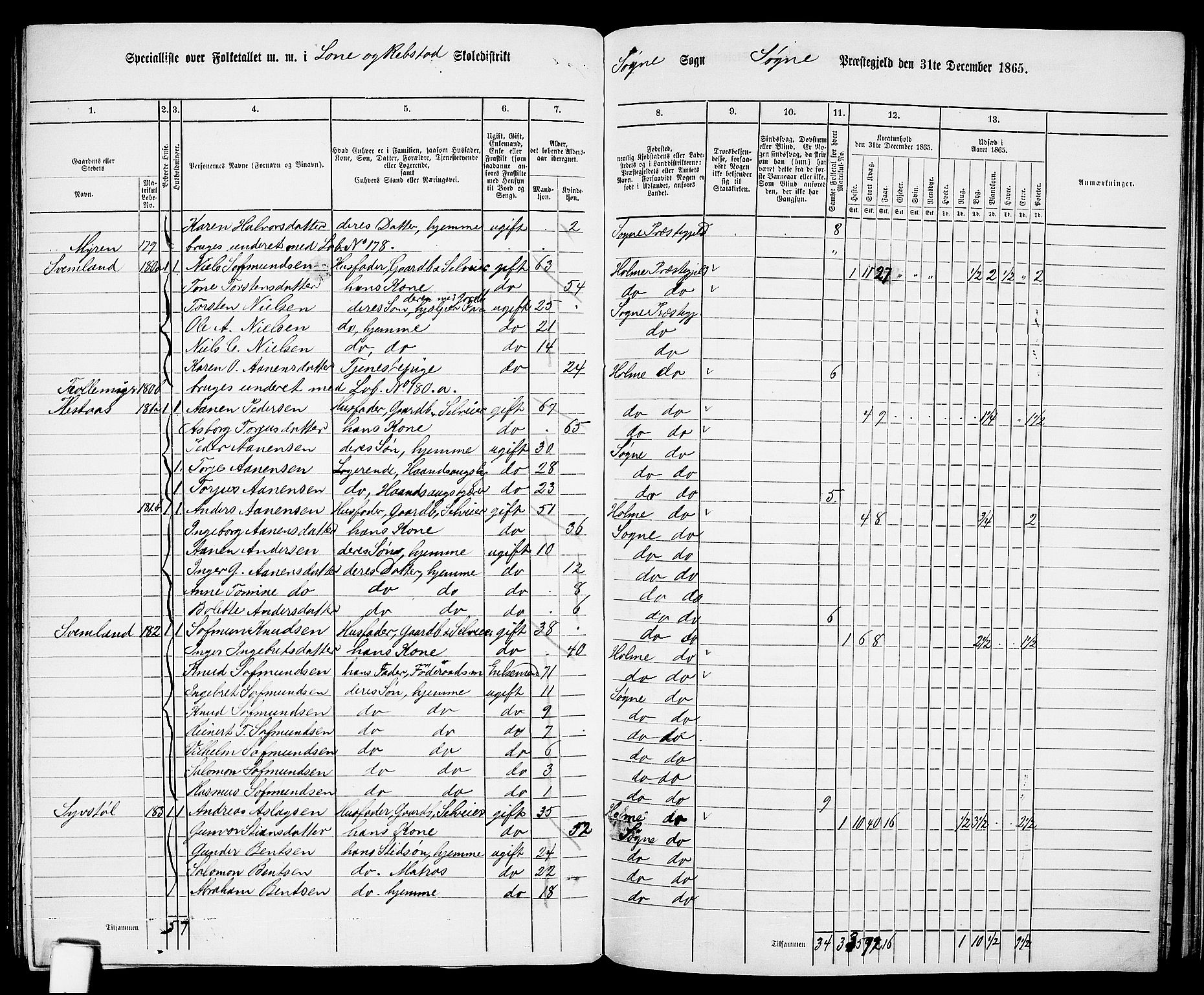 RA, 1865 census for Søgne, 1865, p. 115