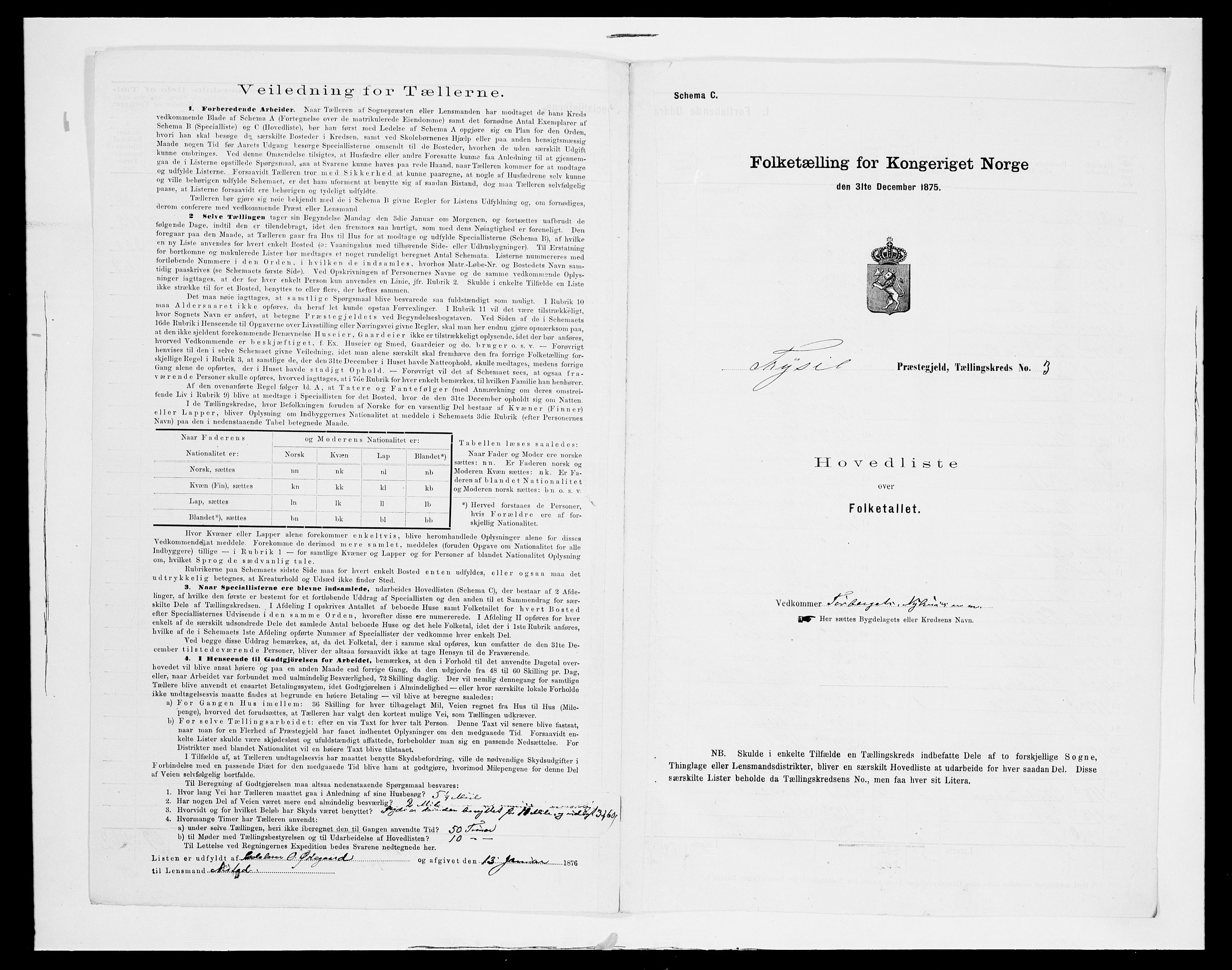 SAH, 1875 census for 0428P Trysil, 1875, p. 21