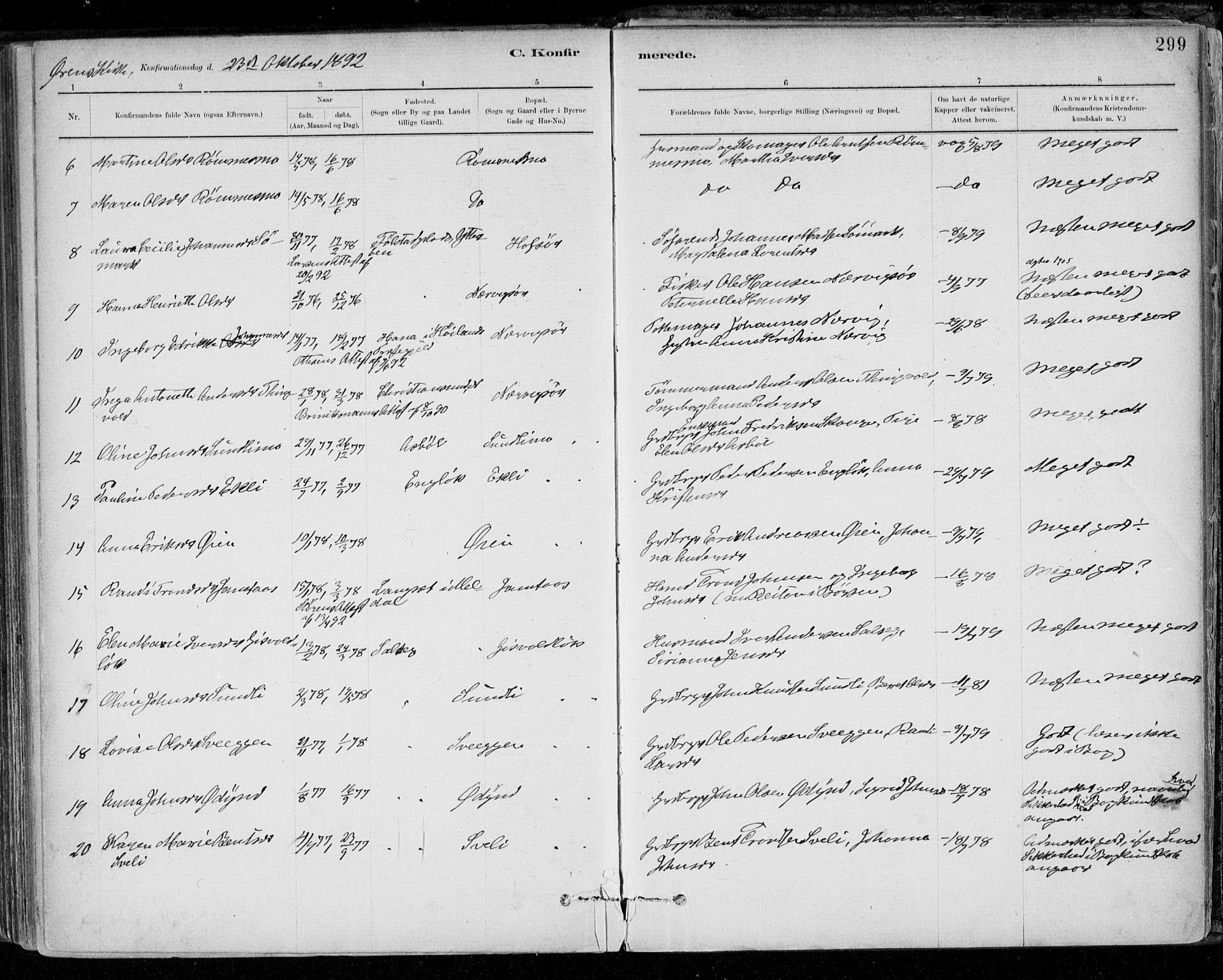 Ministerialprotokoller, klokkerbøker og fødselsregistre - Sør-Trøndelag, SAT/A-1456/668/L0809: Parish register (official) no. 668A09, 1881-1895, p. 299