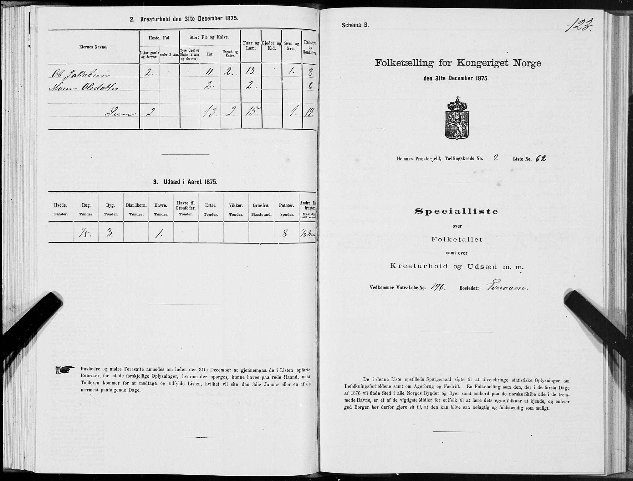 SAT, 1875 census for 1832P Hemnes, 1875, p. 4123