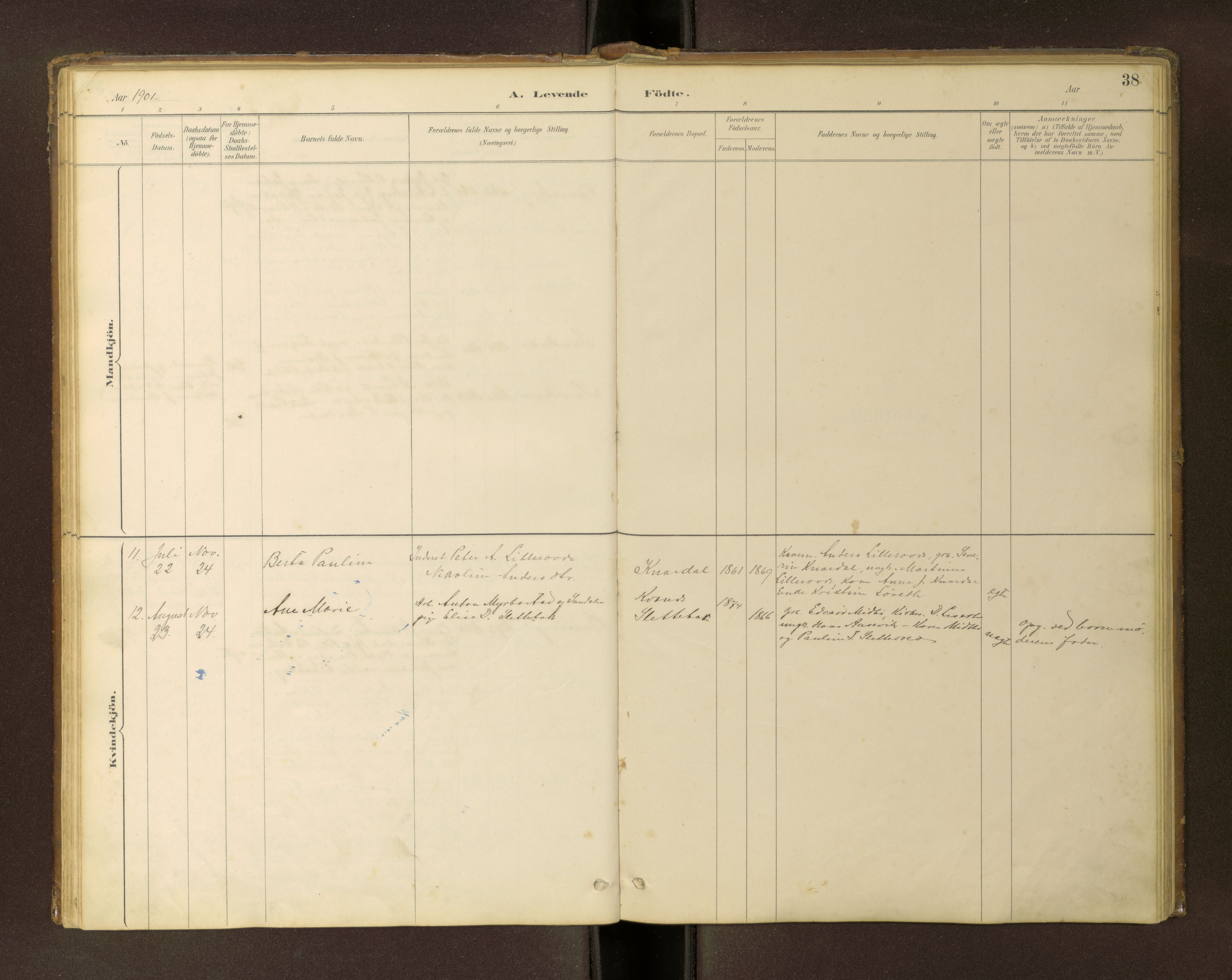 Ministerialprotokoller, klokkerbøker og fødselsregistre - Møre og Romsdal, SAT/A-1454/504/L0060: Parish register (copy) no. 504C02, 1884-1903, p. 38