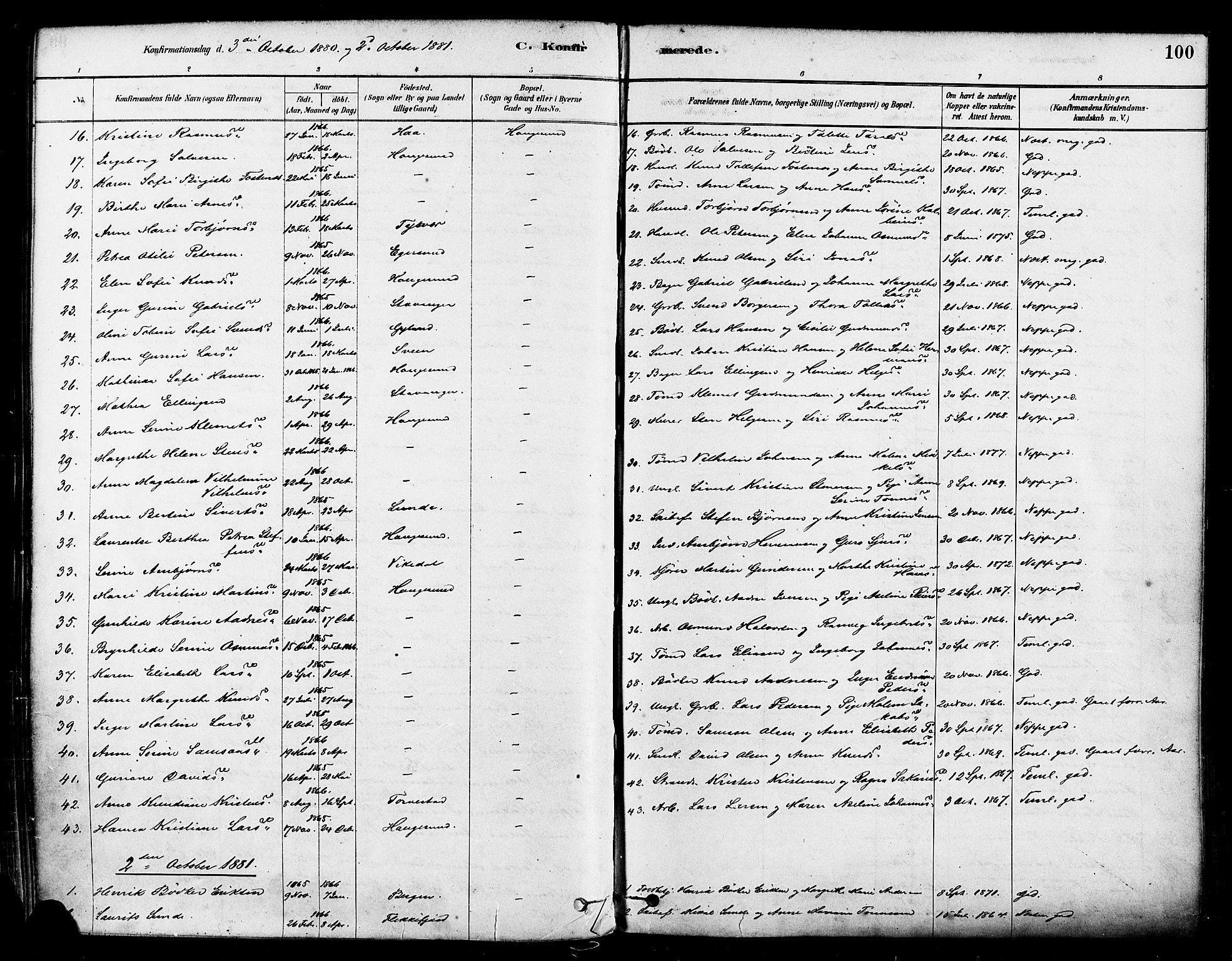 Haugesund sokneprestkontor, AV/SAST-A -101863/H/Ha/Haa/L0001: Parish register (official) no. A 1, 1878-1885, p. 100