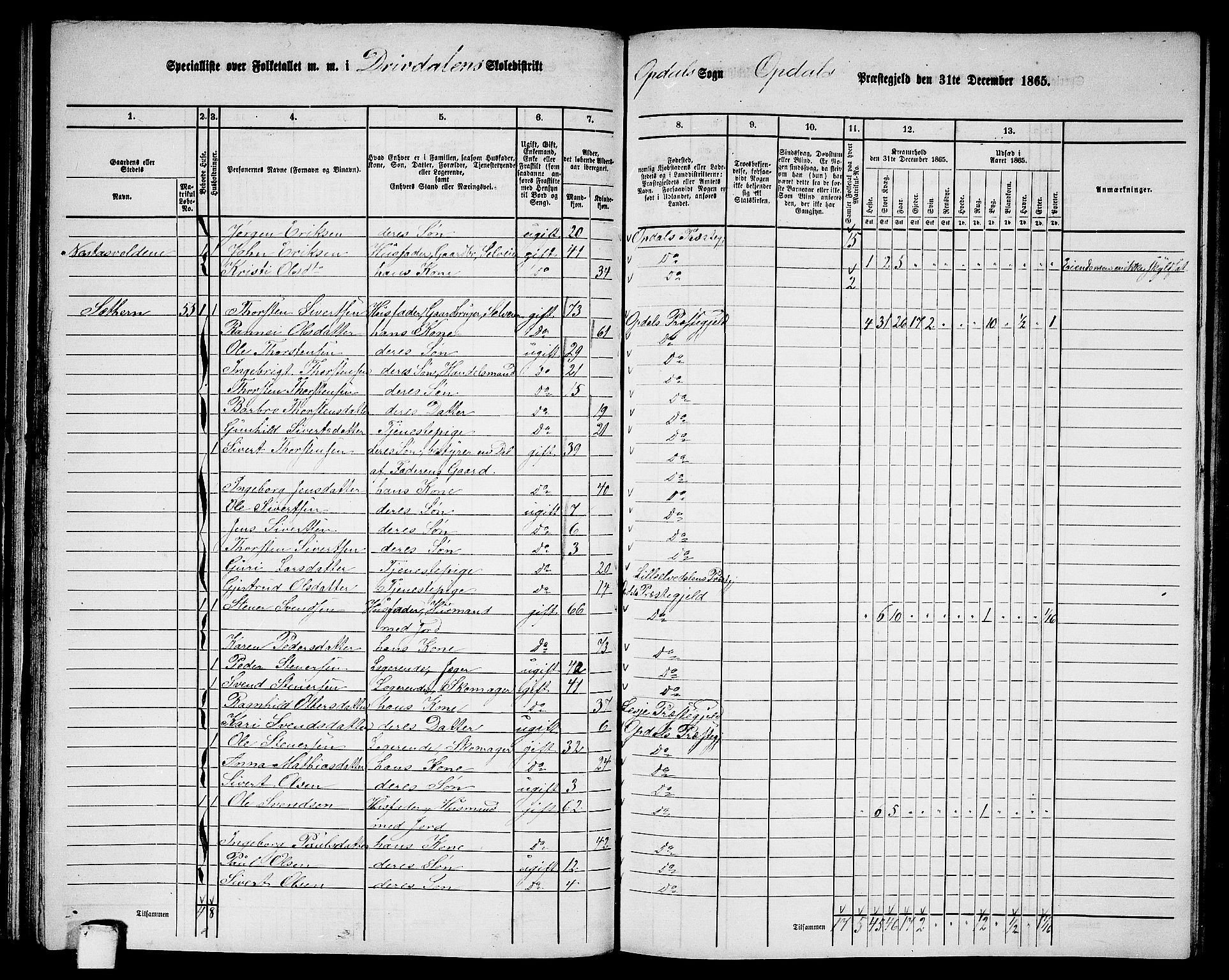 RA, 1865 census for Oppdal, 1865, p. 64