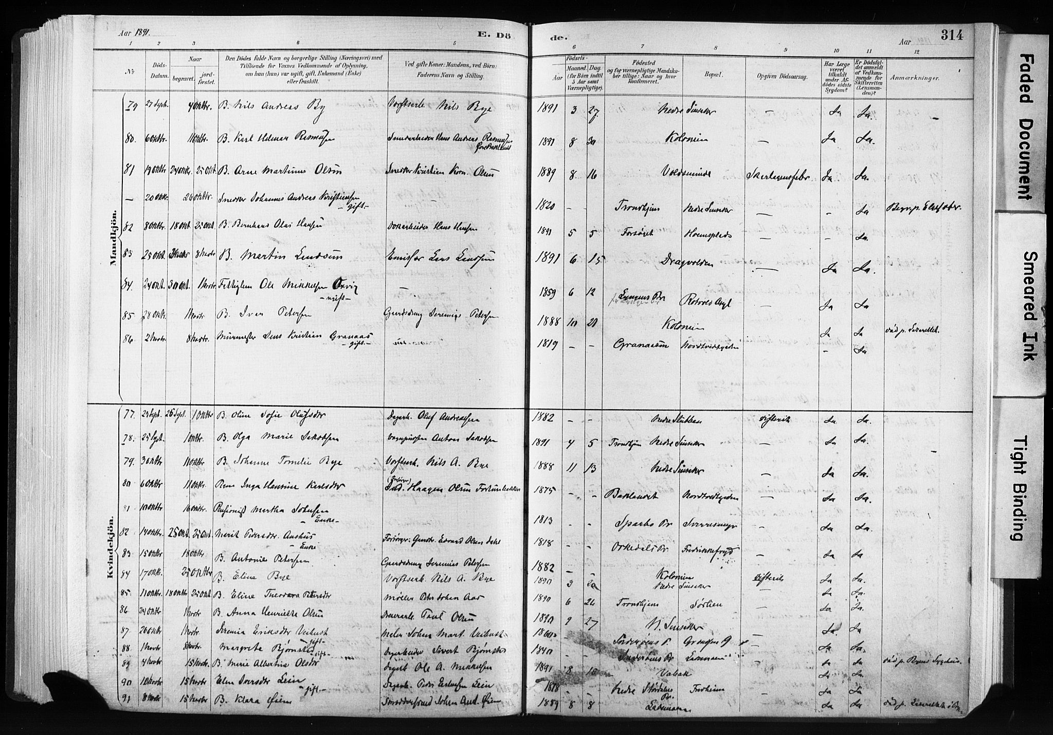 Ministerialprotokoller, klokkerbøker og fødselsregistre - Sør-Trøndelag, AV/SAT-A-1456/606/L0300: Parish register (official) no. 606A15, 1886-1893, p. 314