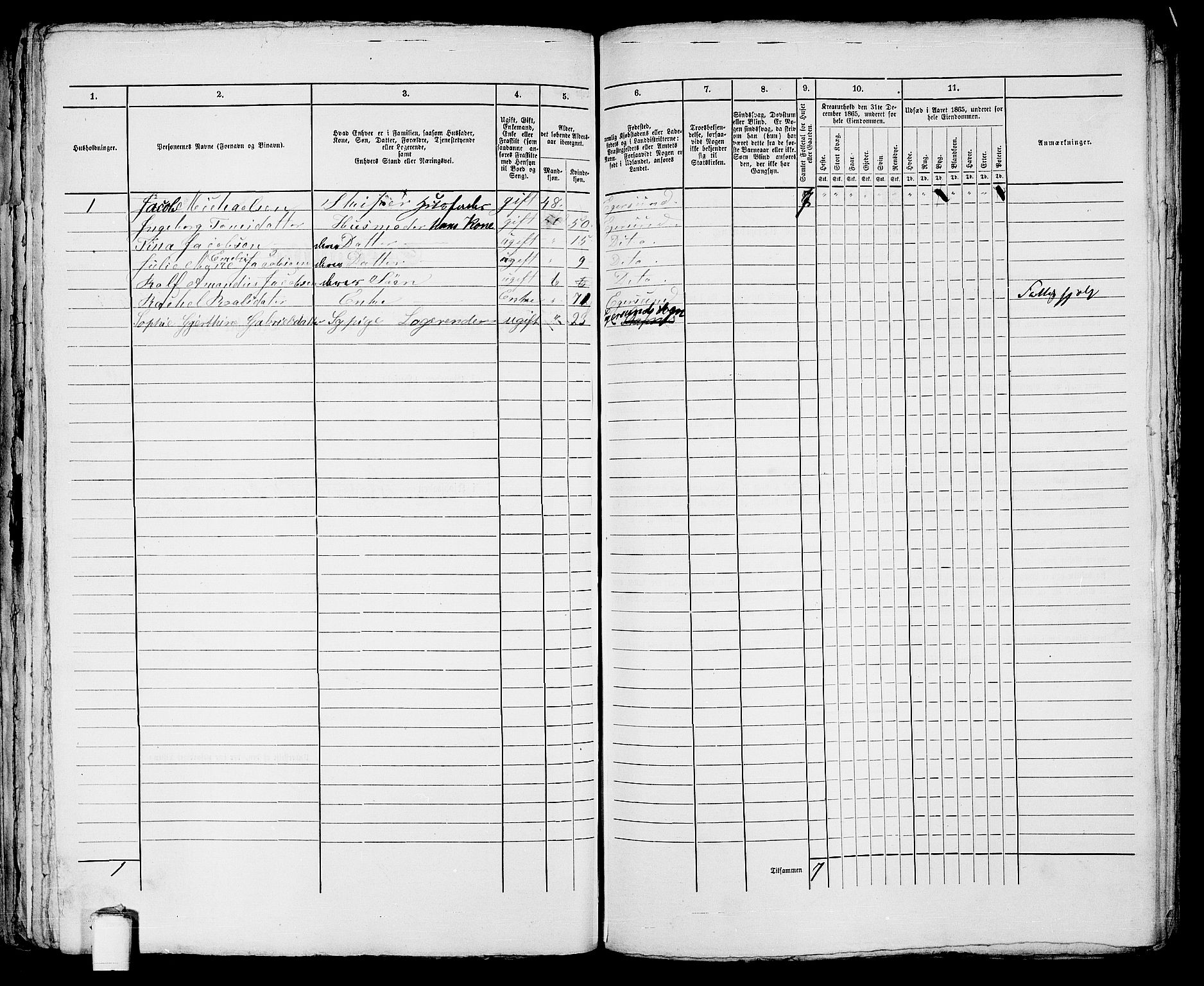 RA, 1865 census for Eigersund parish, Egersund town, 1865, p. 255