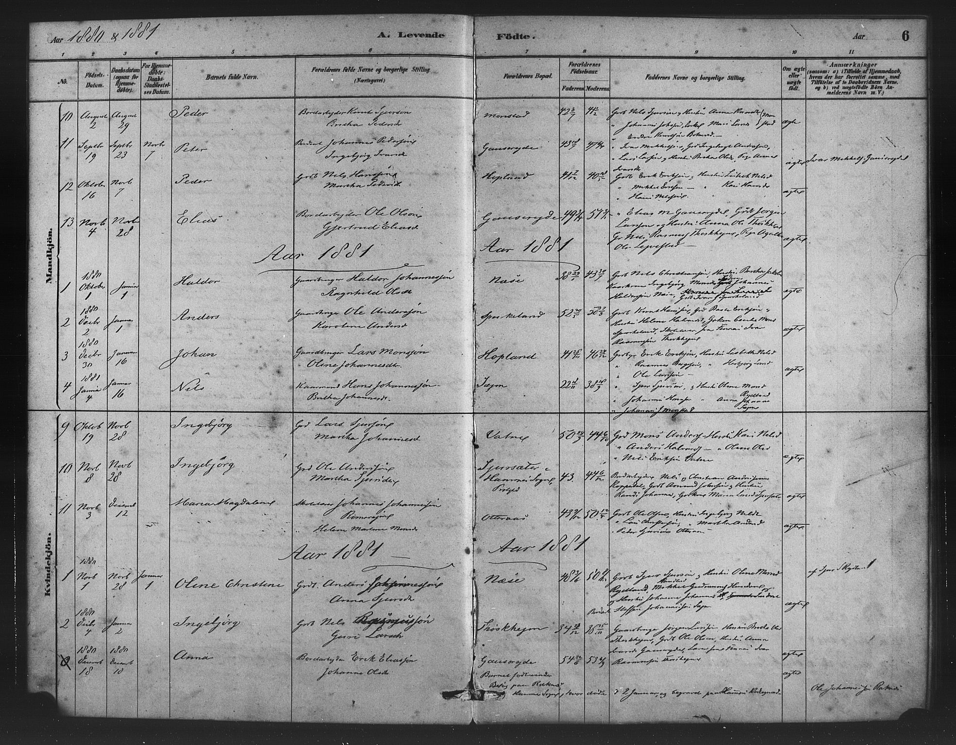 Alversund Sokneprestembete, SAB/A-73901/H/Ha/Haa/Haad/L0001: Parish register (official) no. D 1, 1880-1898, p. 6