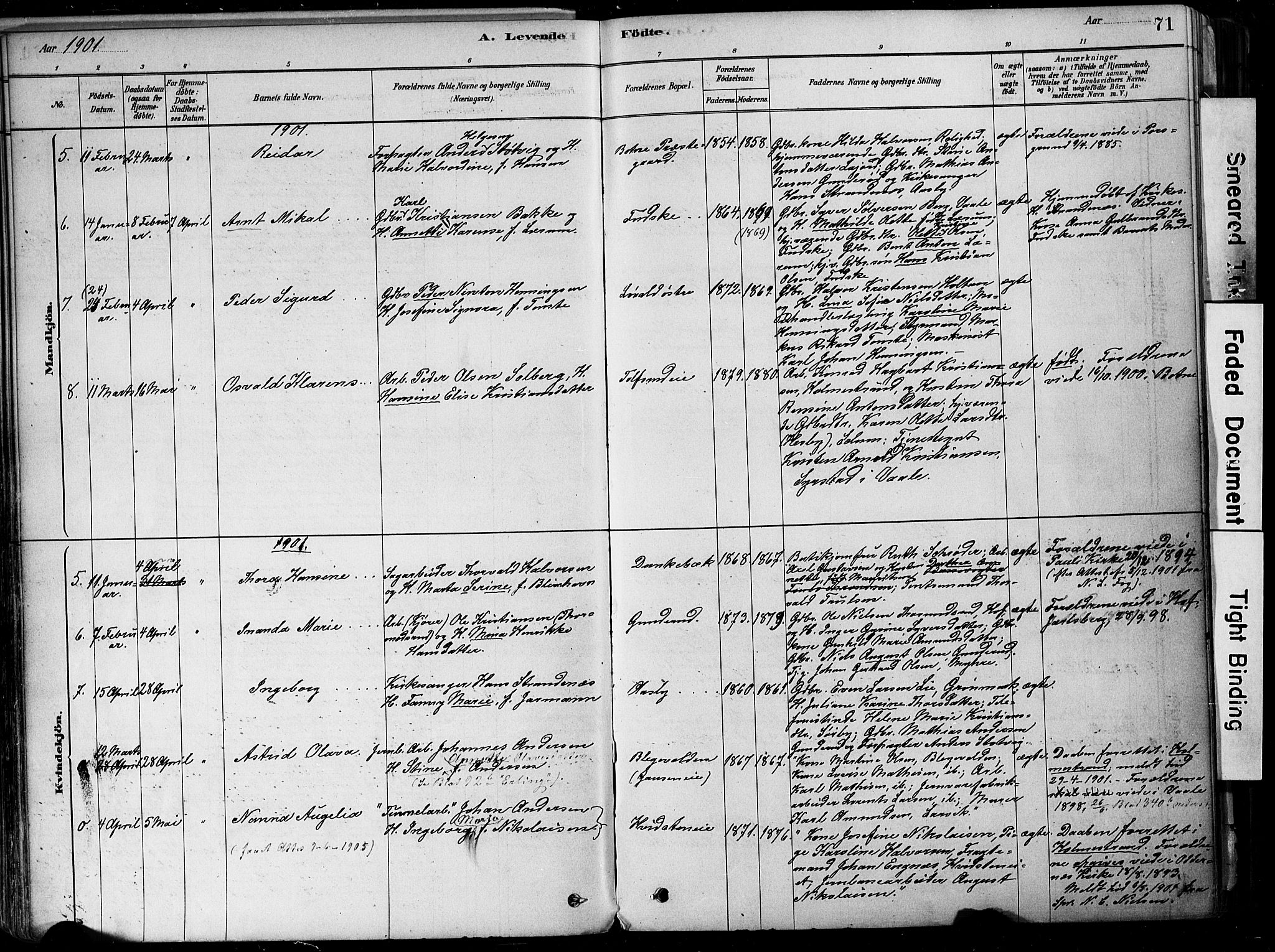 Botne kirkebøker, AV/SAKO-A-340/F/Fa/L0007: Parish register (official) no. I 7, 1878-1910, p. 71