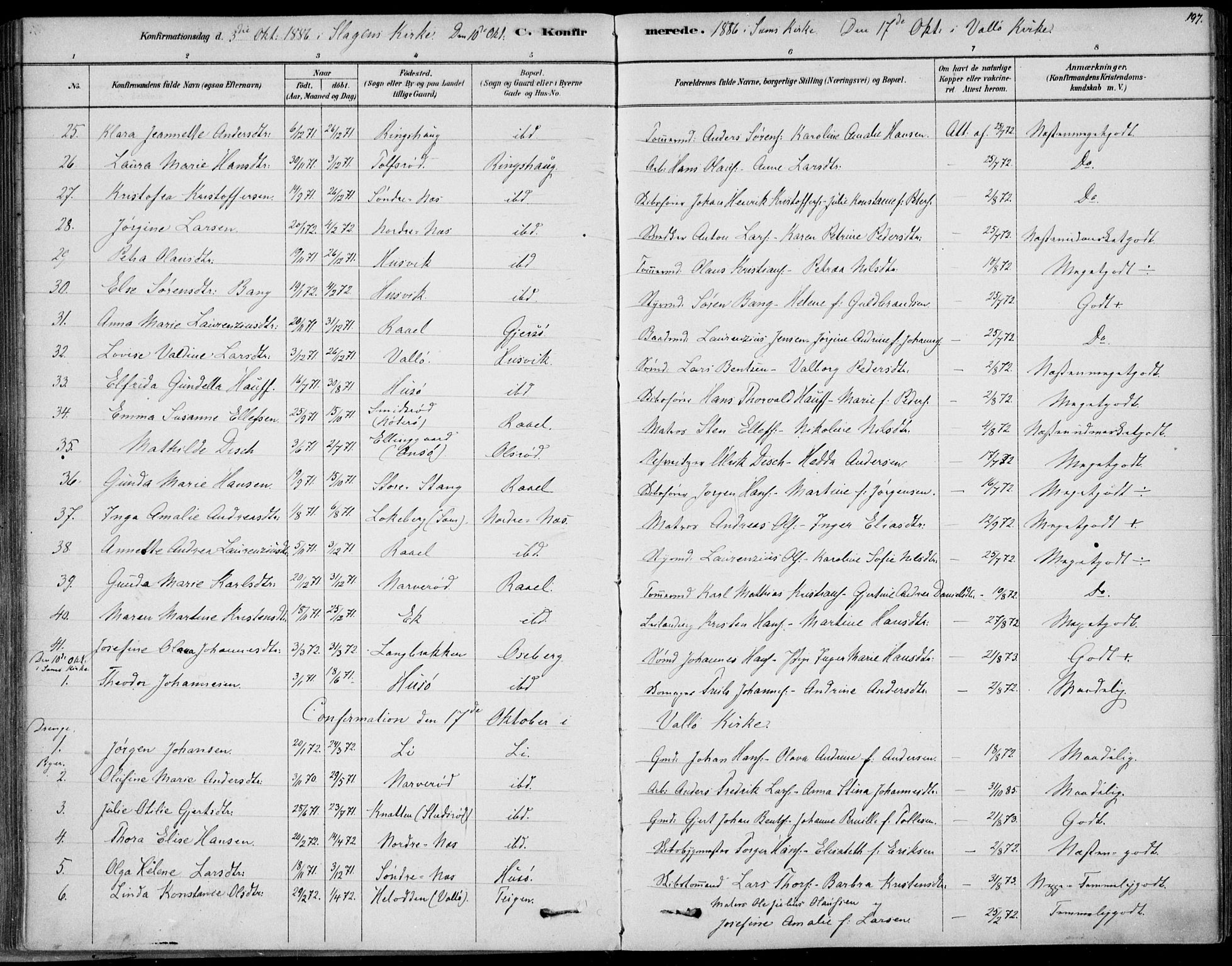 Sem kirkebøker, AV/SAKO-A-5/F/Fb/L0004: Parish register (official) no. II 4, 1878-1891, p. 197