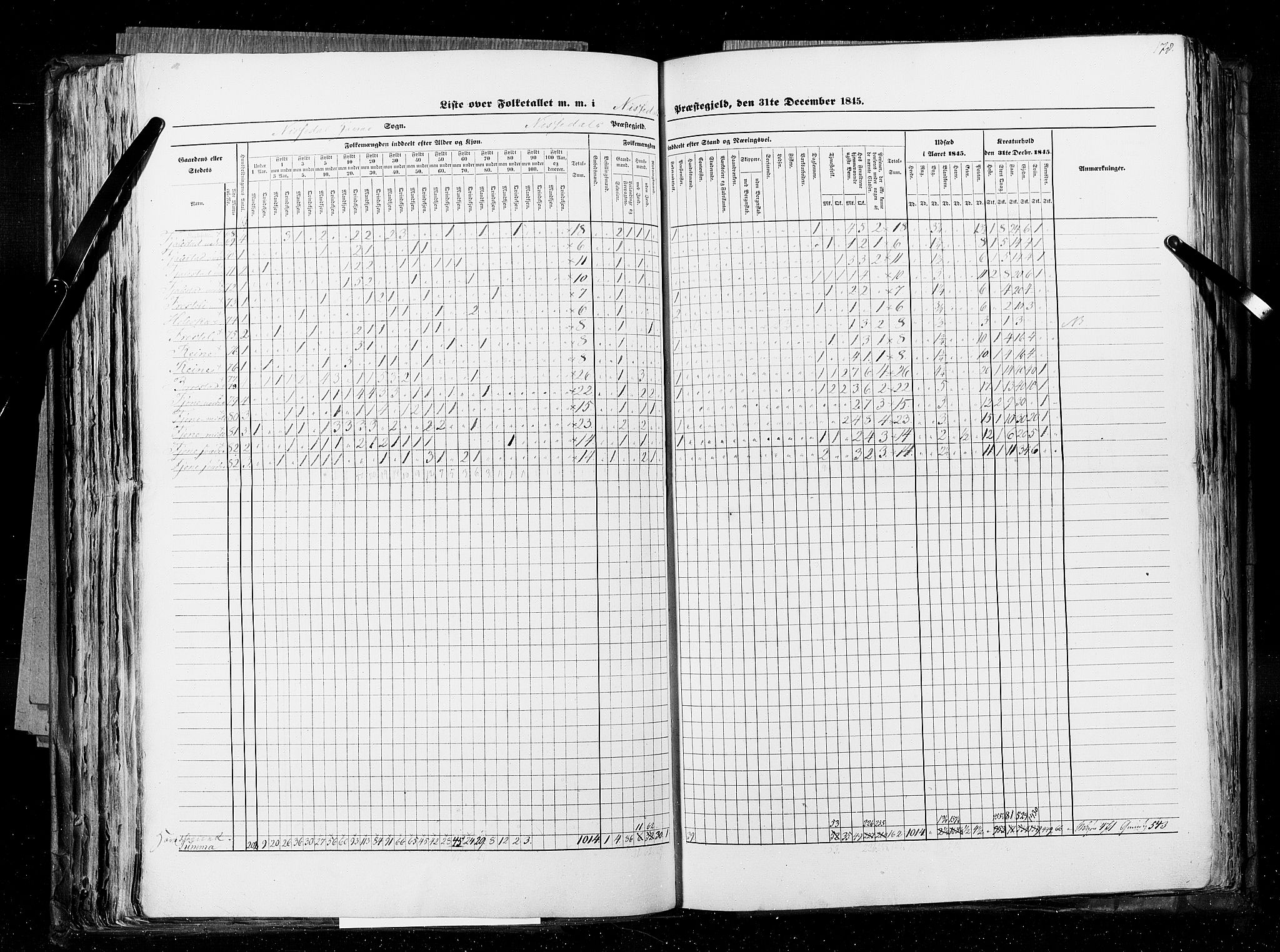 RA, Census 1845, vol. 5: Bratsberg amt og Nedenes og Råbyggelaget amt, 1845, p. 178