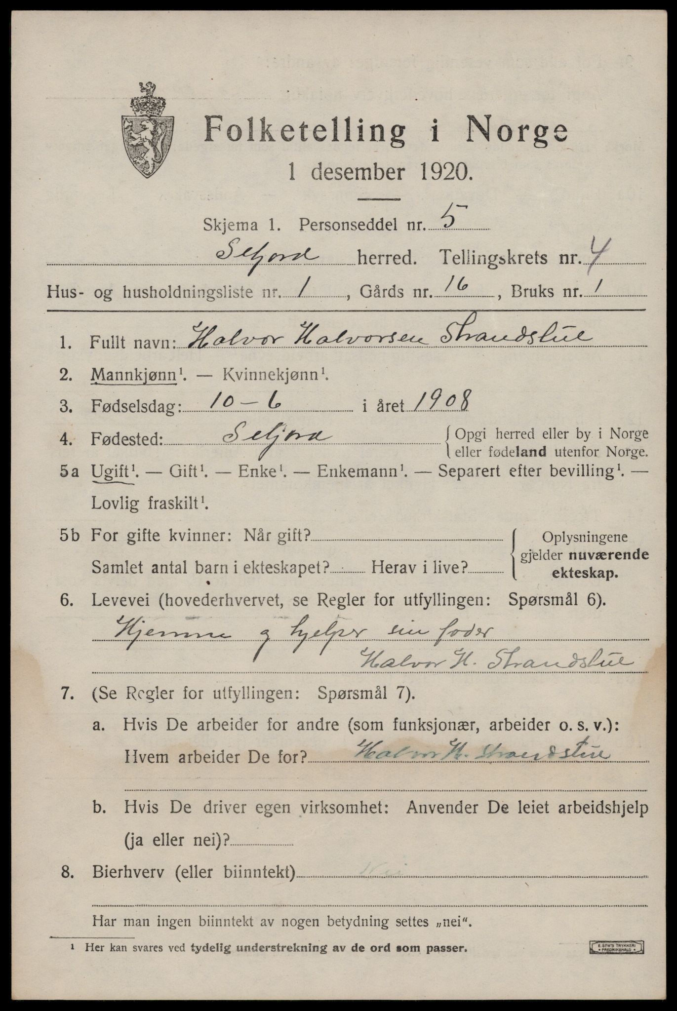 SAKO, 1920 census for Seljord, 1920, p. 2098