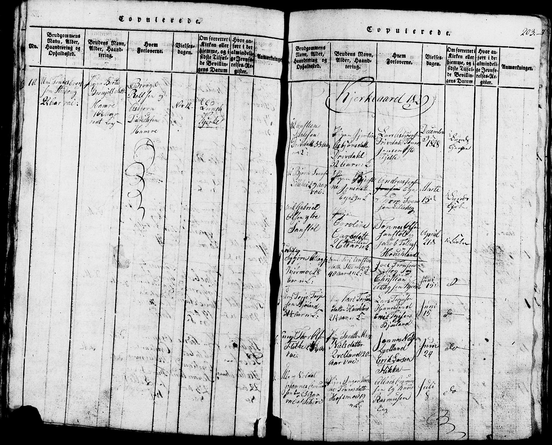 Lund sokneprestkontor, SAST/A-101809/S07/L0002: Parish register (copy) no. B 2, 1816-1832, p. 203