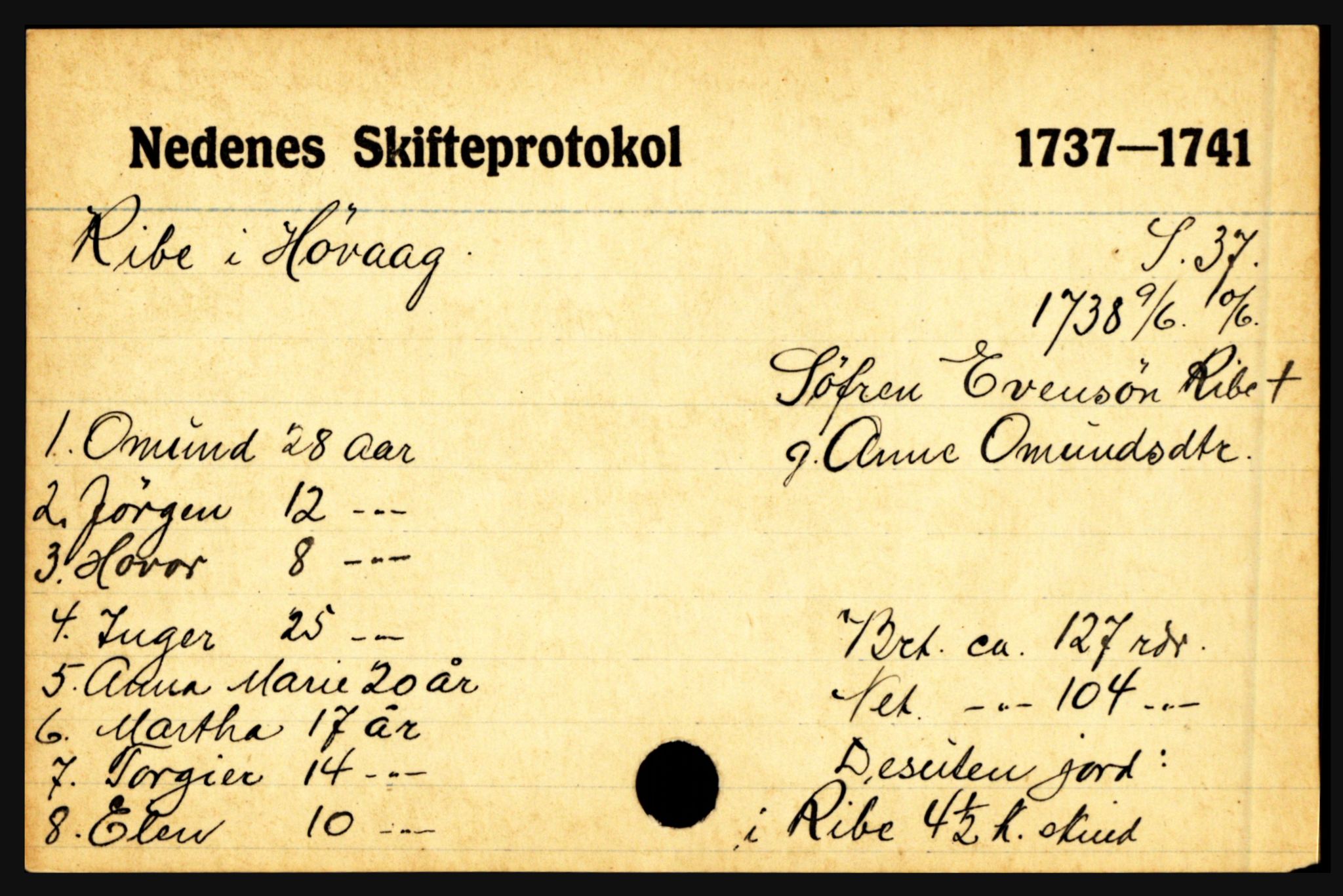 Nedenes sorenskriveri før 1824, AV/SAK-1221-0007/H, p. 23619