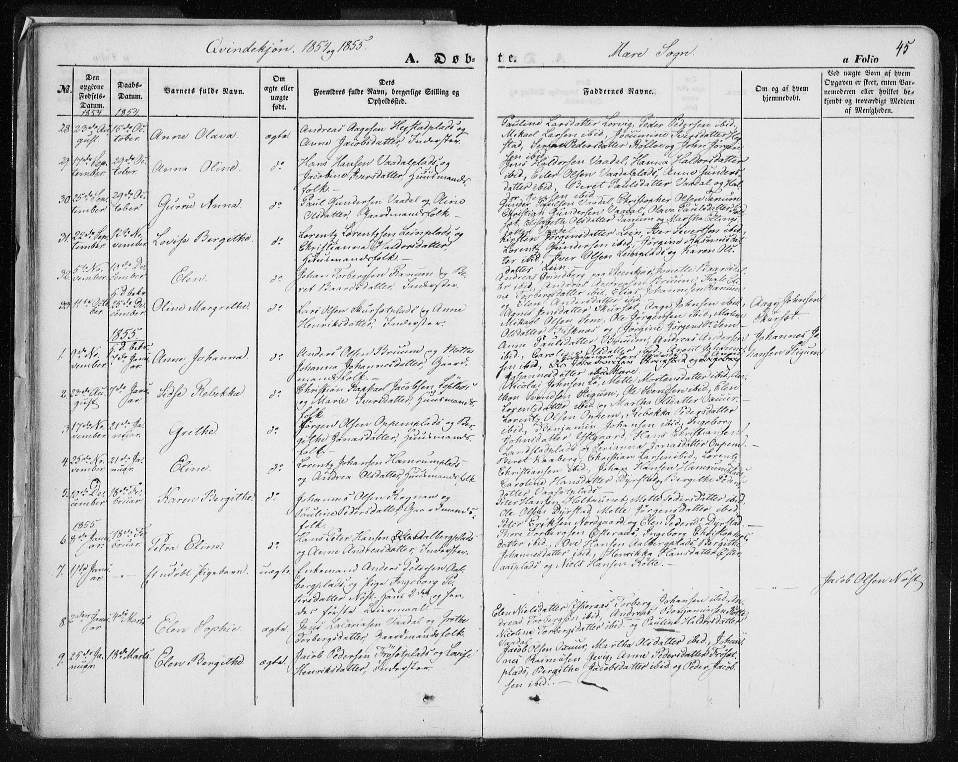 Ministerialprotokoller, klokkerbøker og fødselsregistre - Nord-Trøndelag, SAT/A-1458/735/L0342: Parish register (official) no. 735A07 /1, 1849-1862, p. 45