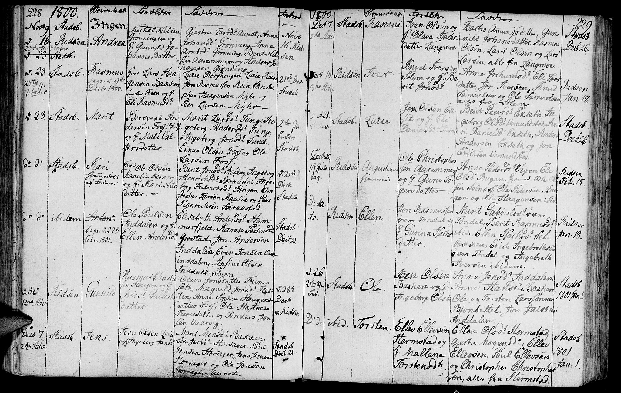 Ministerialprotokoller, klokkerbøker og fødselsregistre - Sør-Trøndelag, SAT/A-1456/646/L0606: Parish register (official) no. 646A04, 1791-1805, p. 228-229