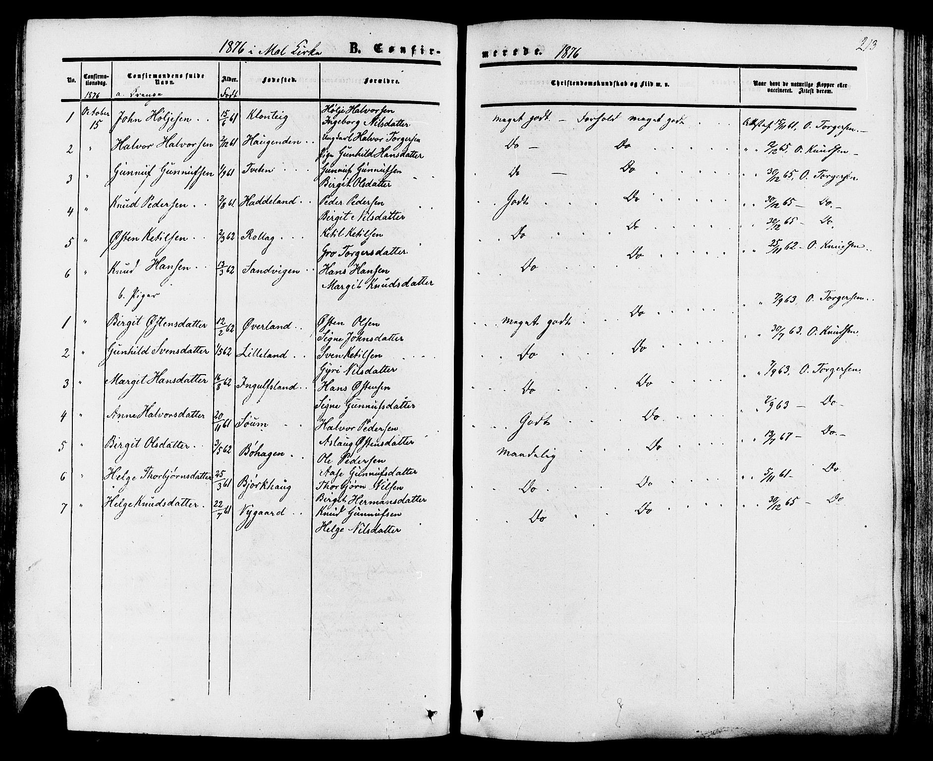 Tinn kirkebøker, SAKO/A-308/F/Fa/L0006: Parish register (official) no. I 6, 1857-1878, p. 213