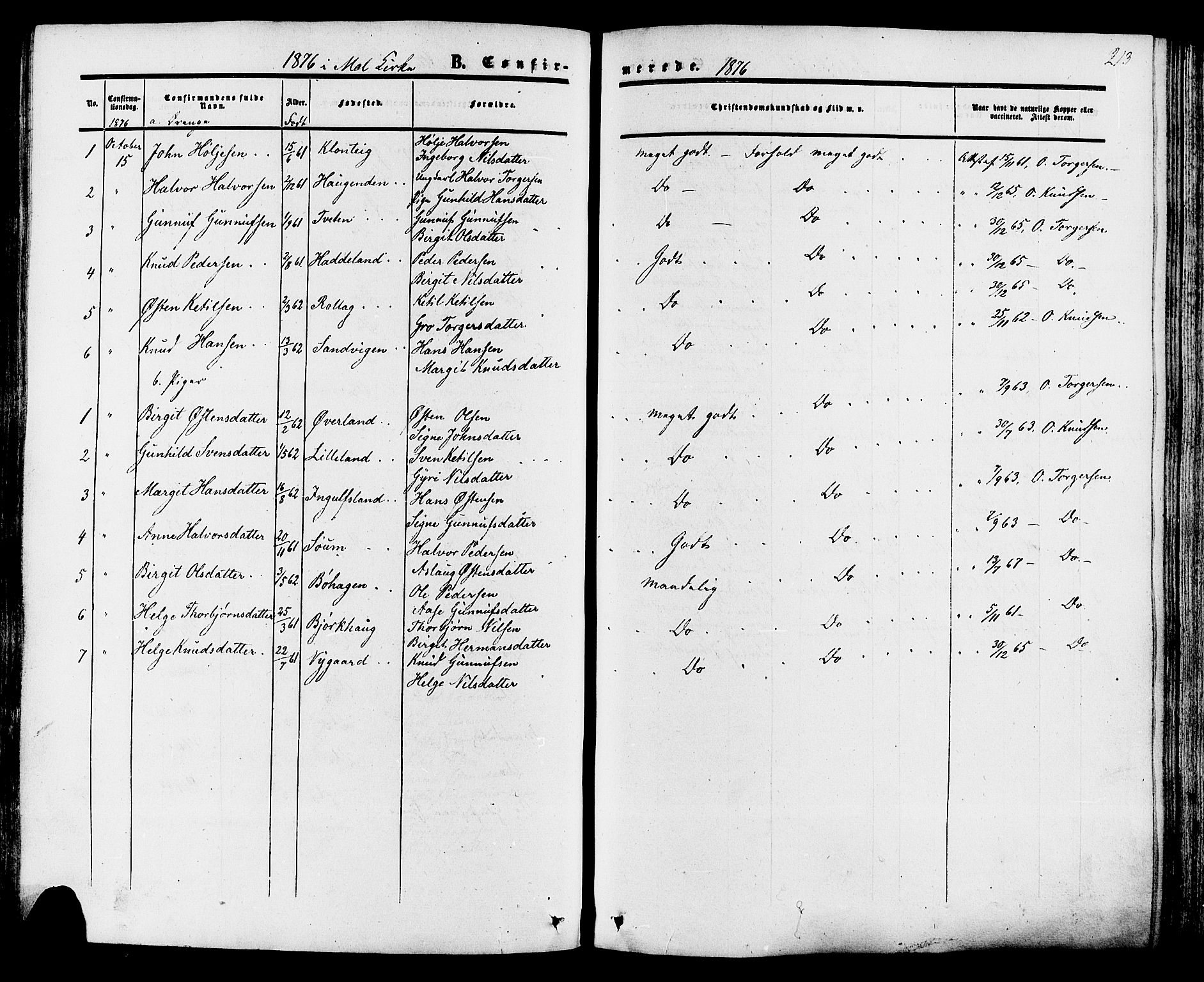 Tinn kirkebøker, AV/SAKO-A-308/F/Fa/L0006: Parish register (official) no. I 6, 1857-1878, p. 213