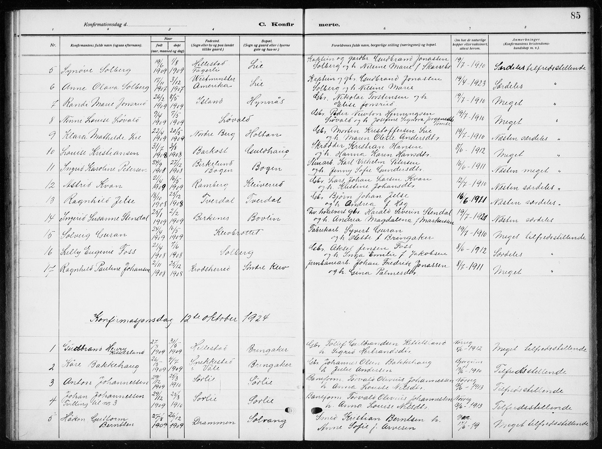 Botne kirkebøker, AV/SAKO-A-340/G/Ga/L0005: Parish register (copy) no. I 5, 1916-1934, p. 85
