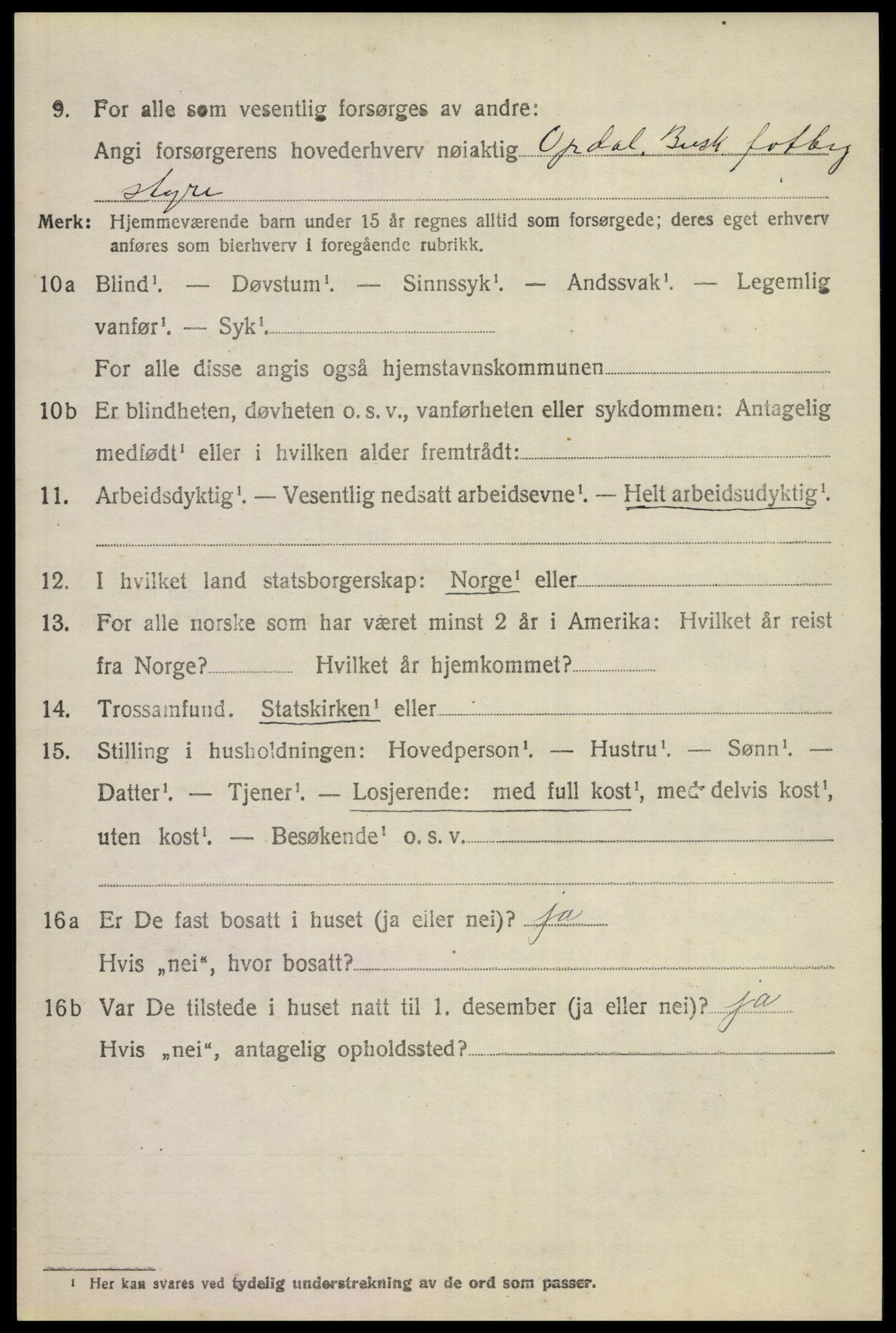 SAKO, 1920 census for Hol (Buskerud), 1920, p. 4940