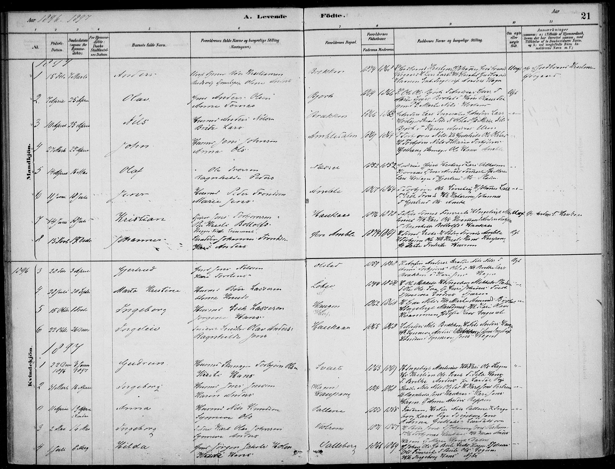 Sogndal sokneprestembete, SAB/A-81301/H/Haa/Haad/L0001: Parish register (official) no. D  1, 1878-1907, p. 21