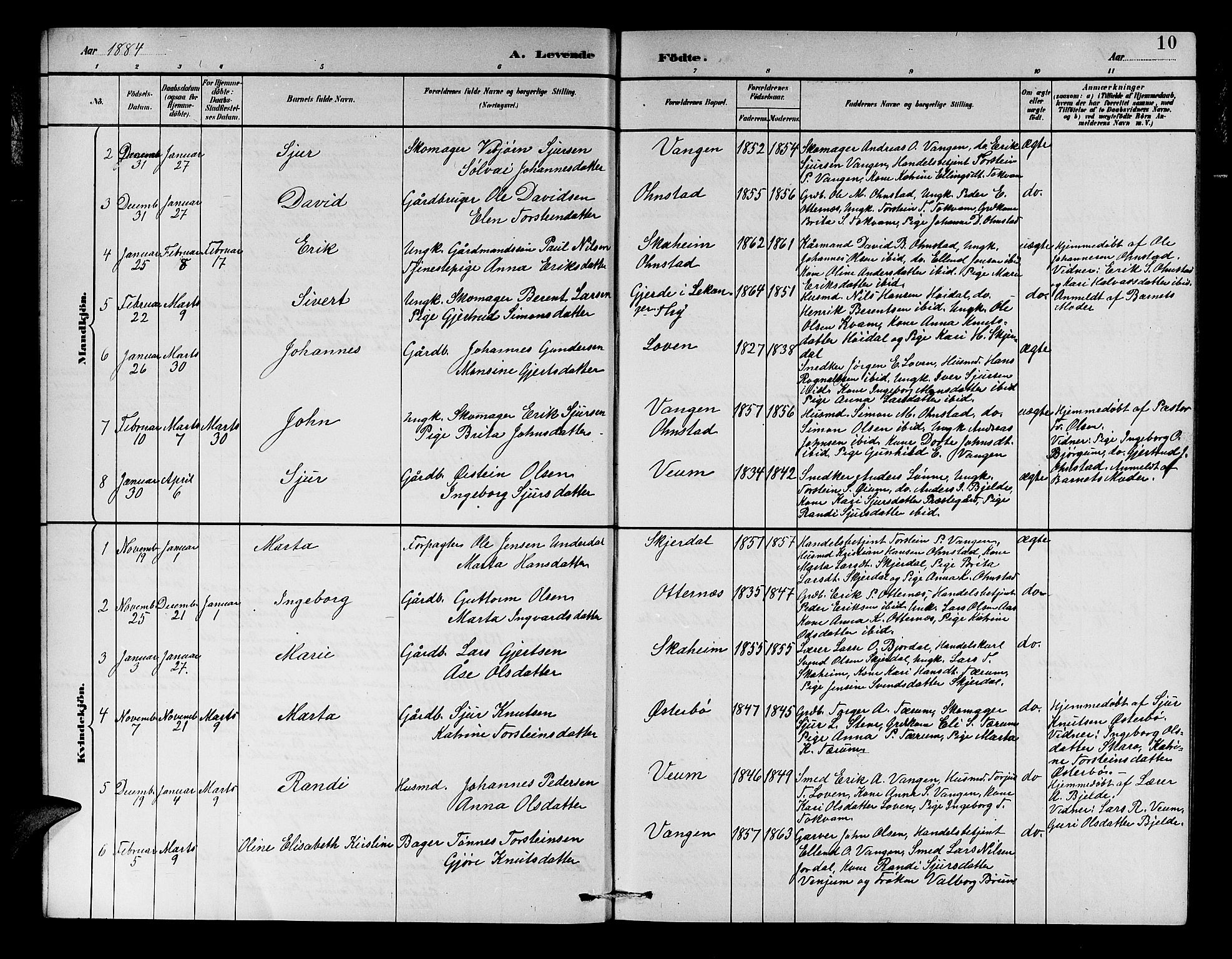 Aurland sokneprestembete, SAB/A-99937/H/Hb/Hba/L0002: Parish register (copy) no. A 2, 1880-1895, p. 10