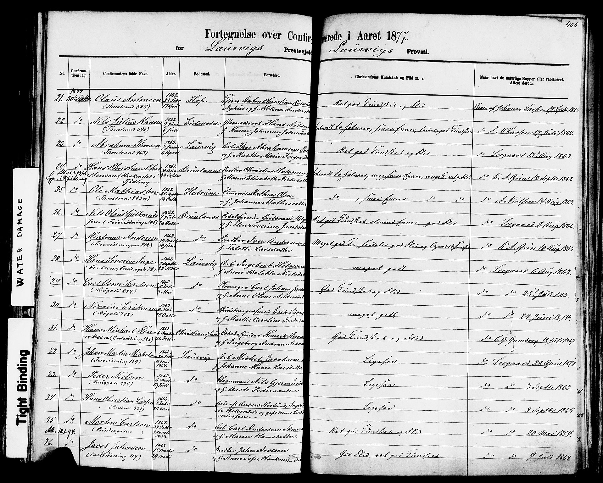 Larvik kirkebøker, AV/SAKO-A-352/F/Fa/L0006: Parish register (official) no. I 6, 1871-1883, p. 405