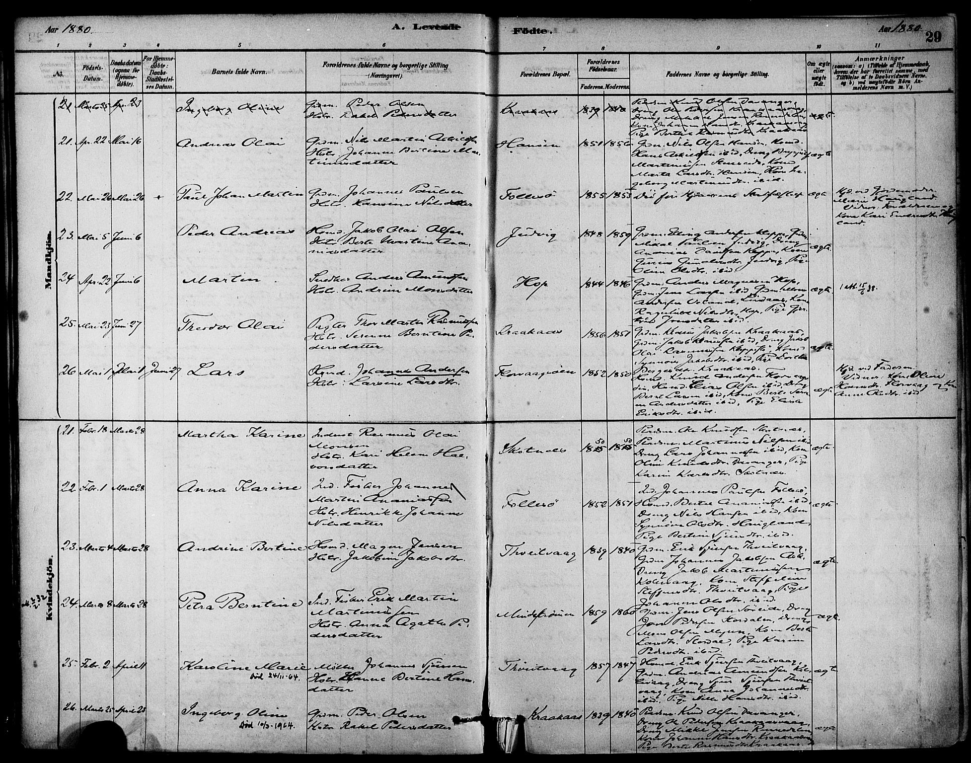 Askøy Sokneprestembete, AV/SAB-A-74101/H/Ha/Haa/Haab/L0001: Parish register (official) no. B 1, 1878-1889, p. 29