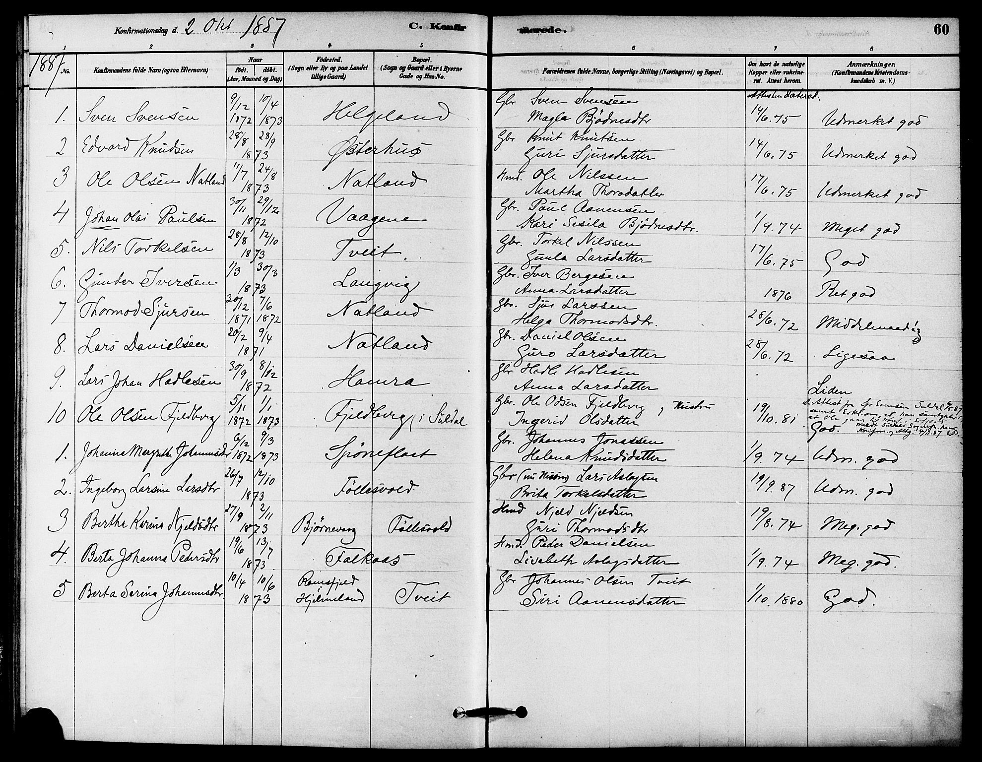 Jelsa sokneprestkontor, SAST/A-101842/01/IV: Parish register (official) no. A 9, 1878-1898, p. 60