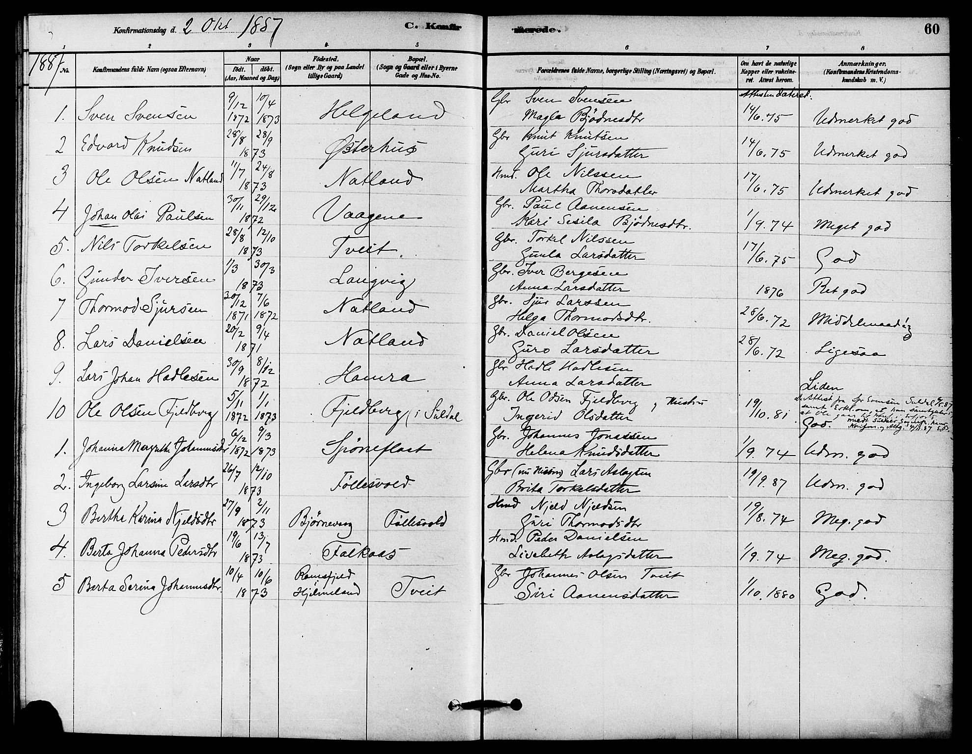 Jelsa sokneprestkontor, AV/SAST-A-101842/01/IV: Parish register (official) no. A 9, 1878-1898, p. 60