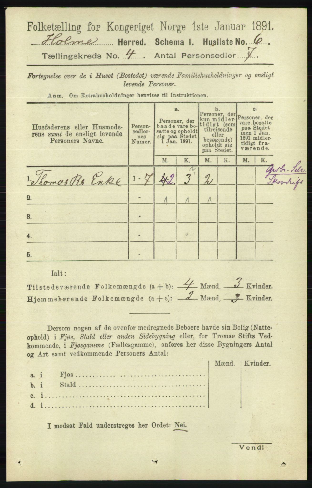 RA, 1891 census for 1020 Holum, 1891, p. 1006