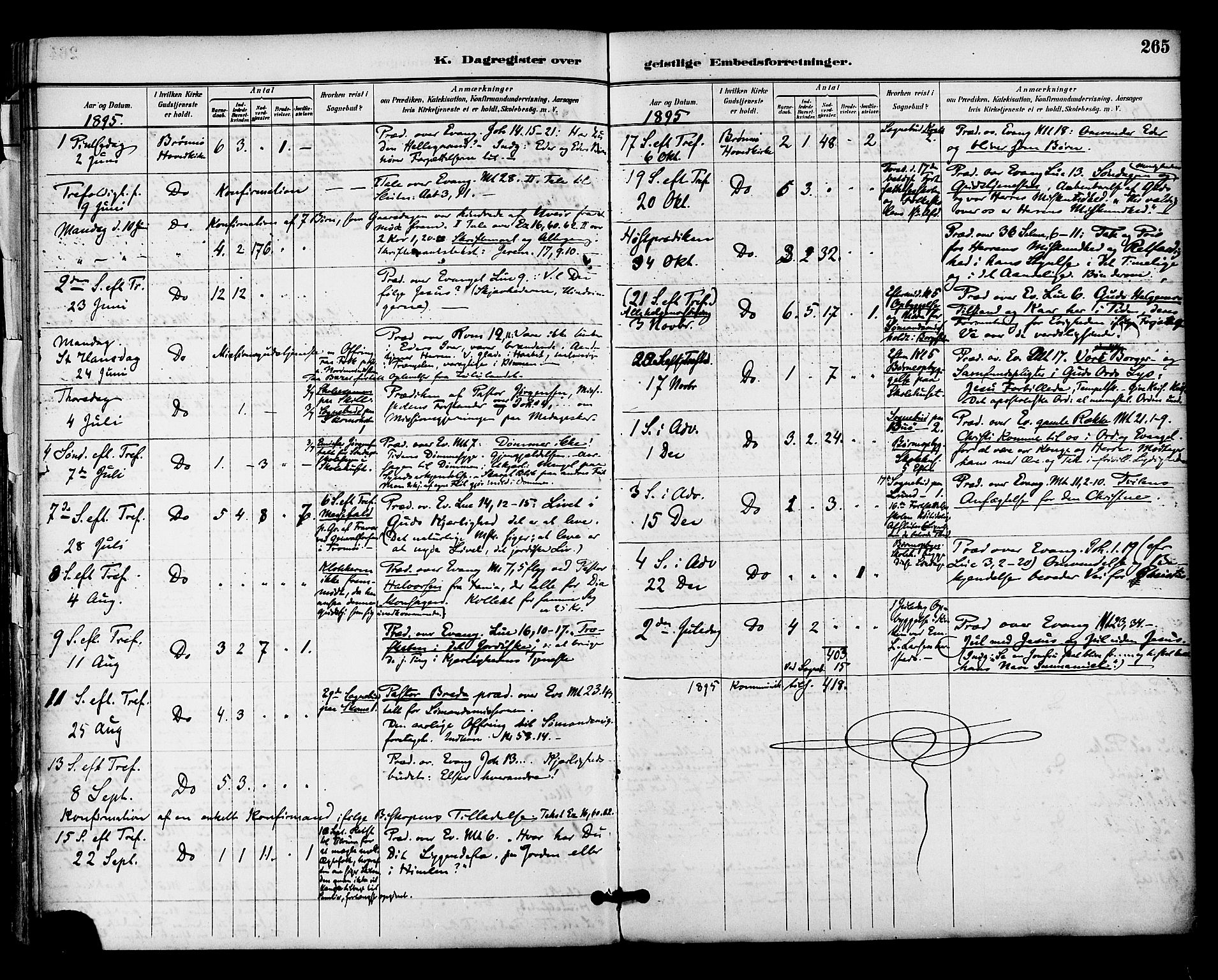 Ministerialprotokoller, klokkerbøker og fødselsregistre - Nordland, SAT/A-1459/813/L0200: Parish register (official) no. 813A10, 1886-1900, p. 265