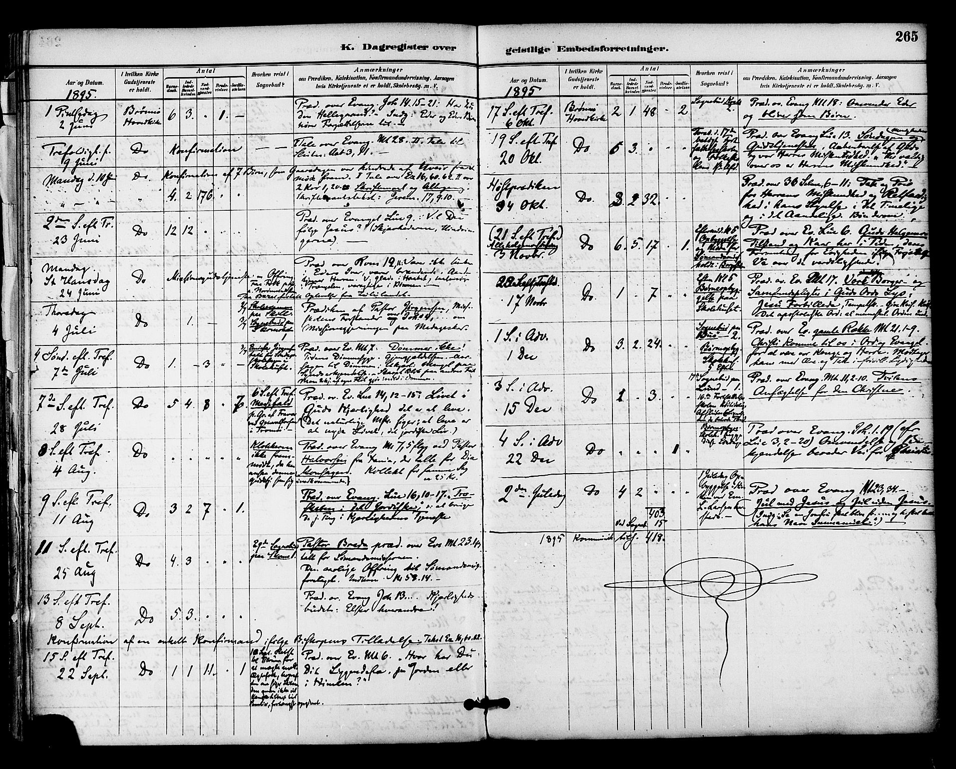 Ministerialprotokoller, klokkerbøker og fødselsregistre - Nordland, AV/SAT-A-1459/813/L0200: Parish register (official) no. 813A10, 1886-1900, p. 265