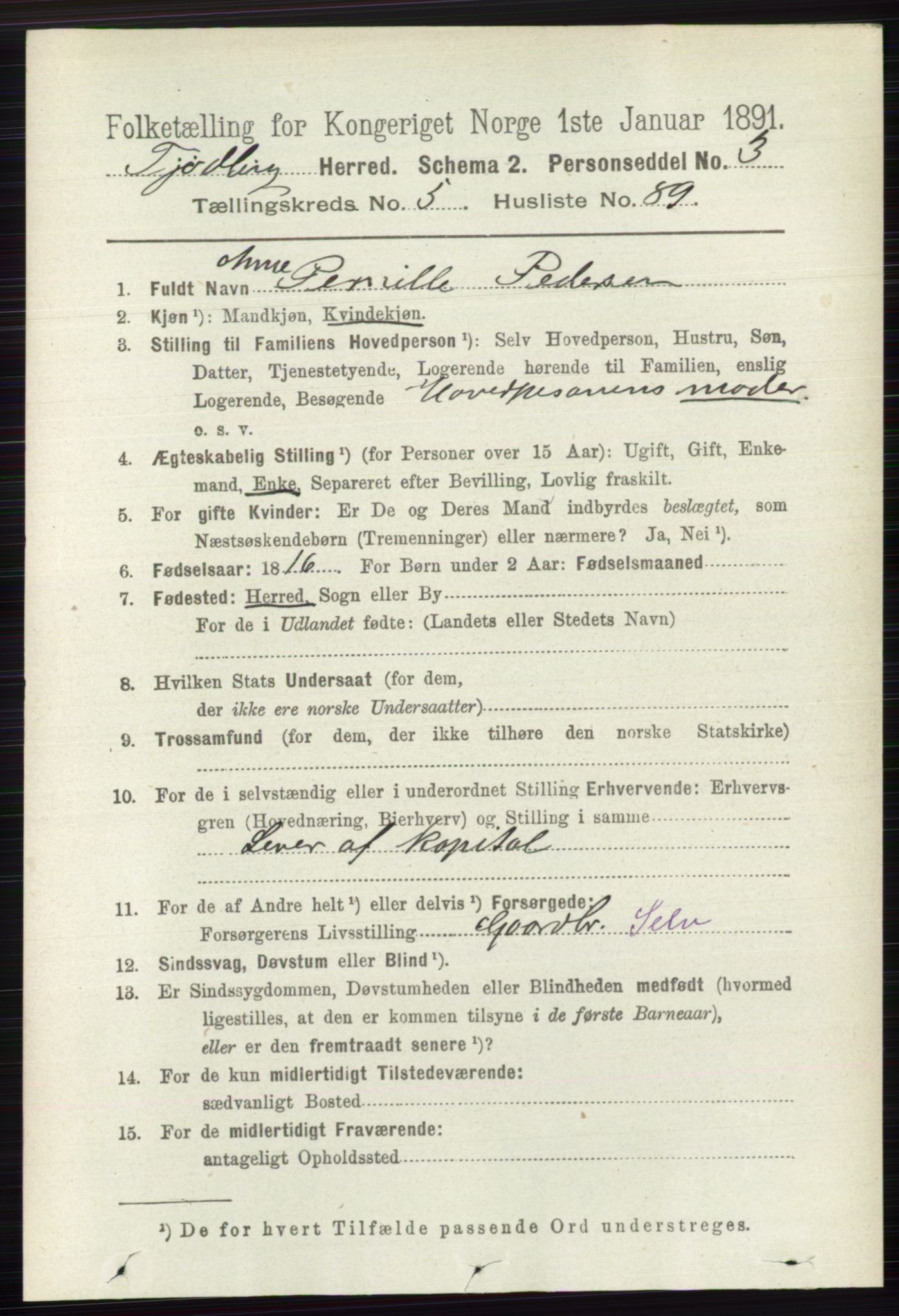 RA, 1891 census for 0725 Tjølling, 1891, p. 2517