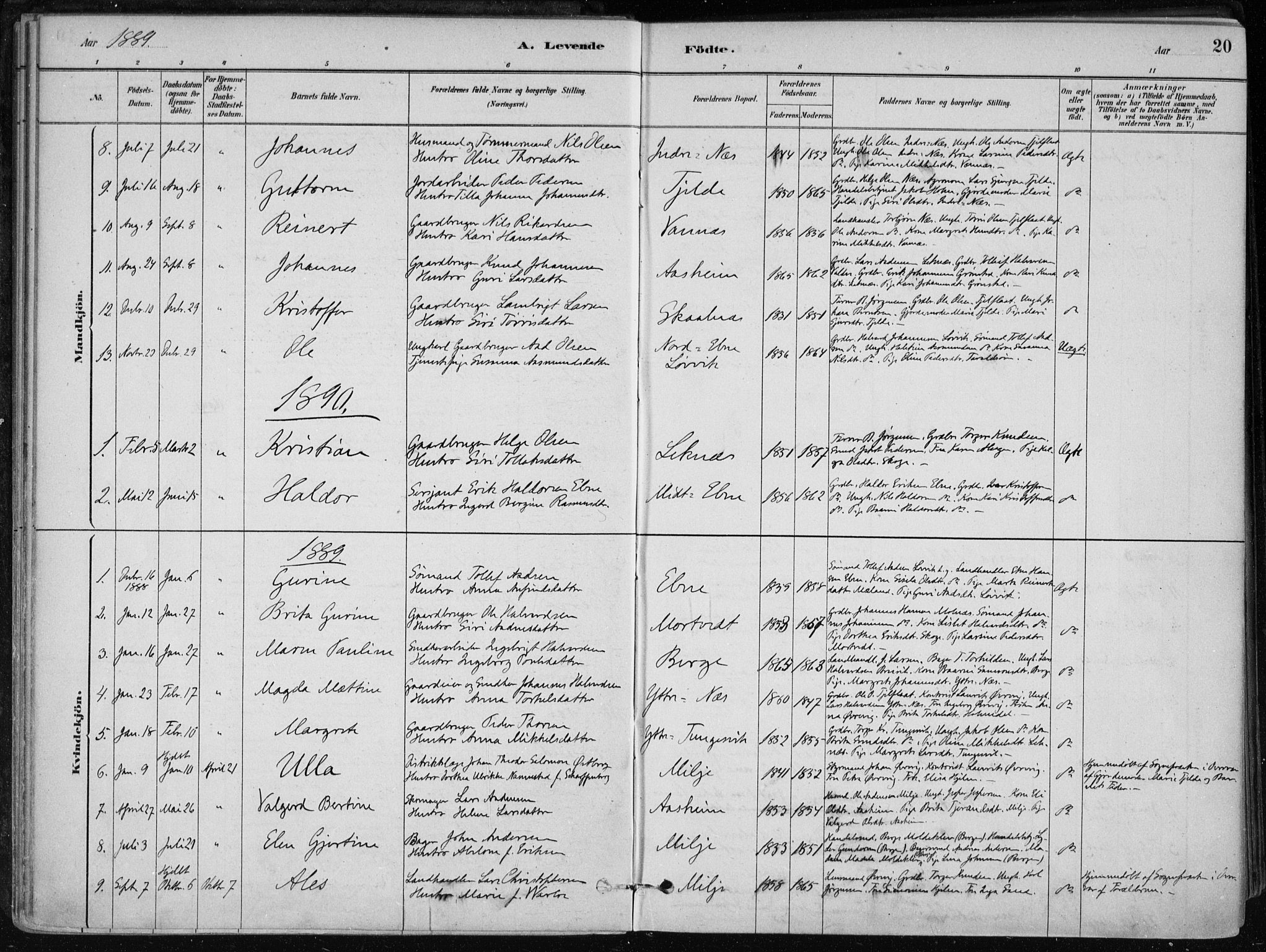 Skånevik sokneprestembete, SAB/A-77801/H/Haa: Parish register (official) no. B 1, 1879-1914, p. 20