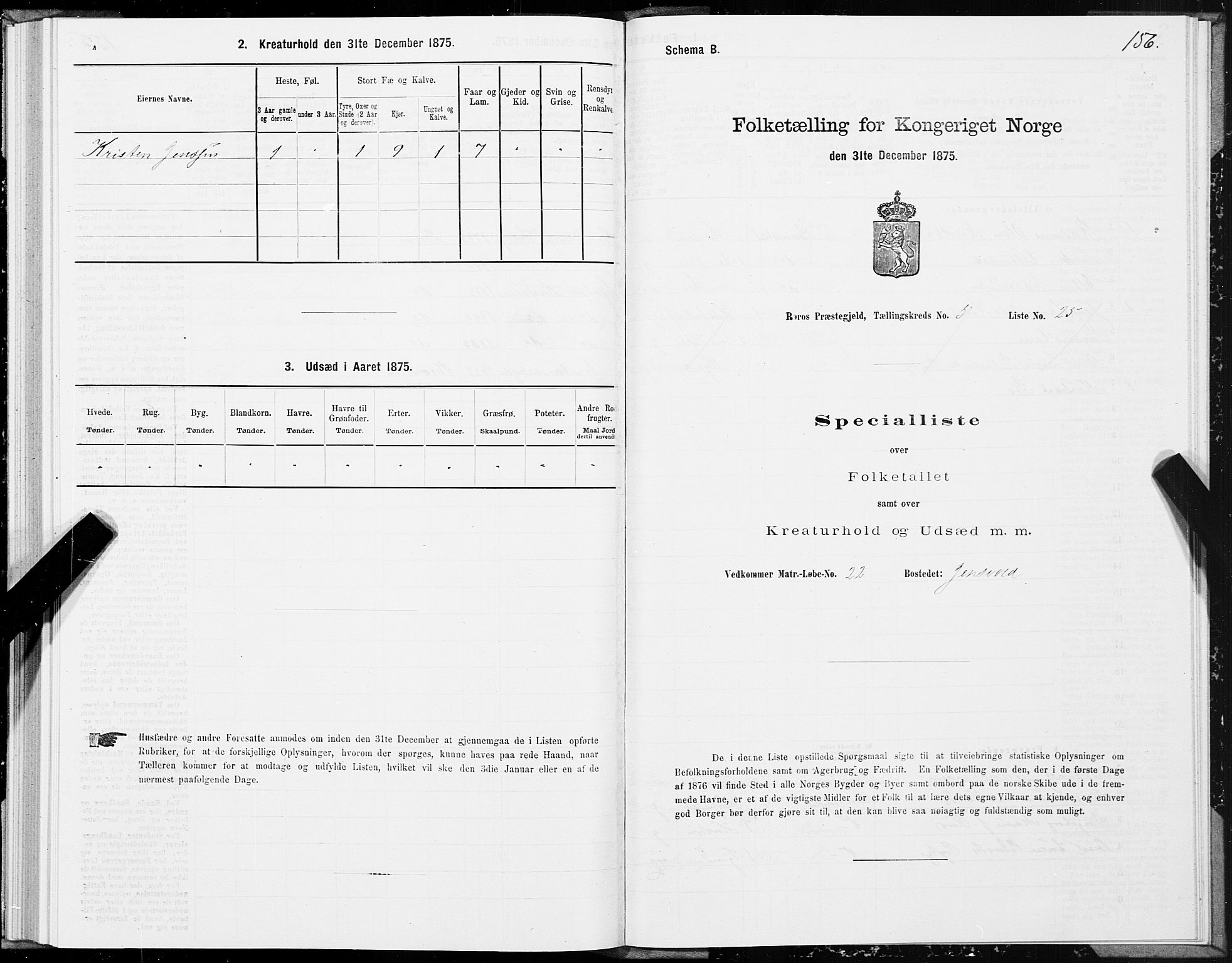 SAT, 1875 census for 1640P Røros, 1875, p. 3156