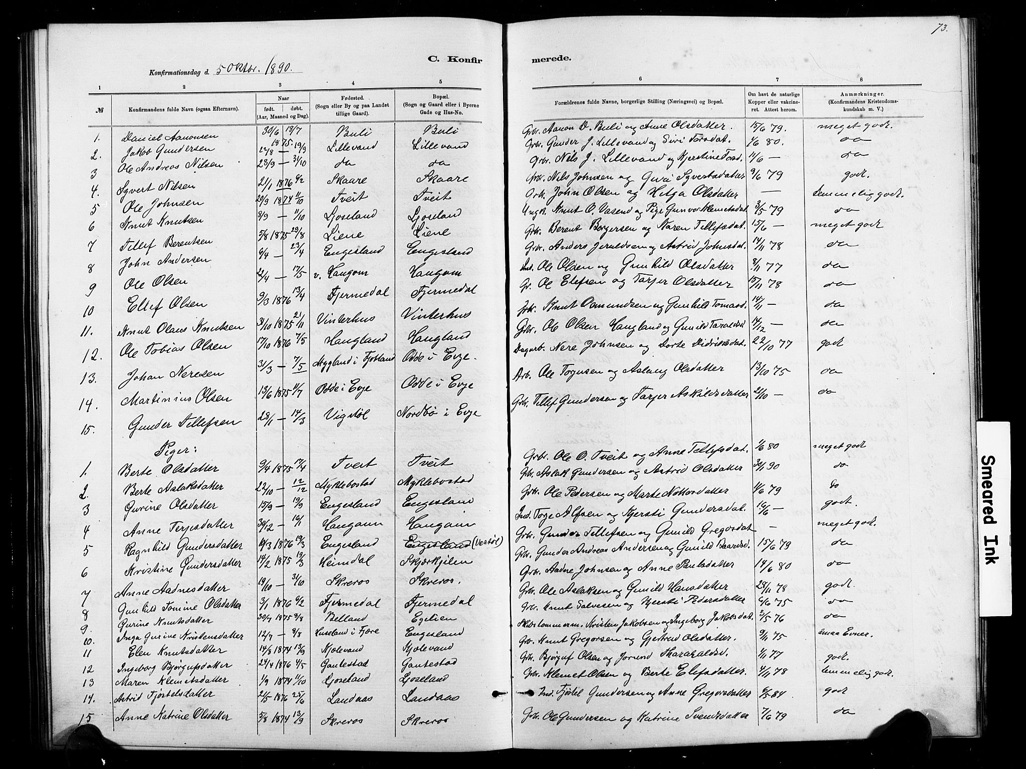 Herefoss sokneprestkontor, AV/SAK-1111-0019/F/Fb/Fbb/L0002: Parish register (copy) no. B 2, 1879-1894, p. 73